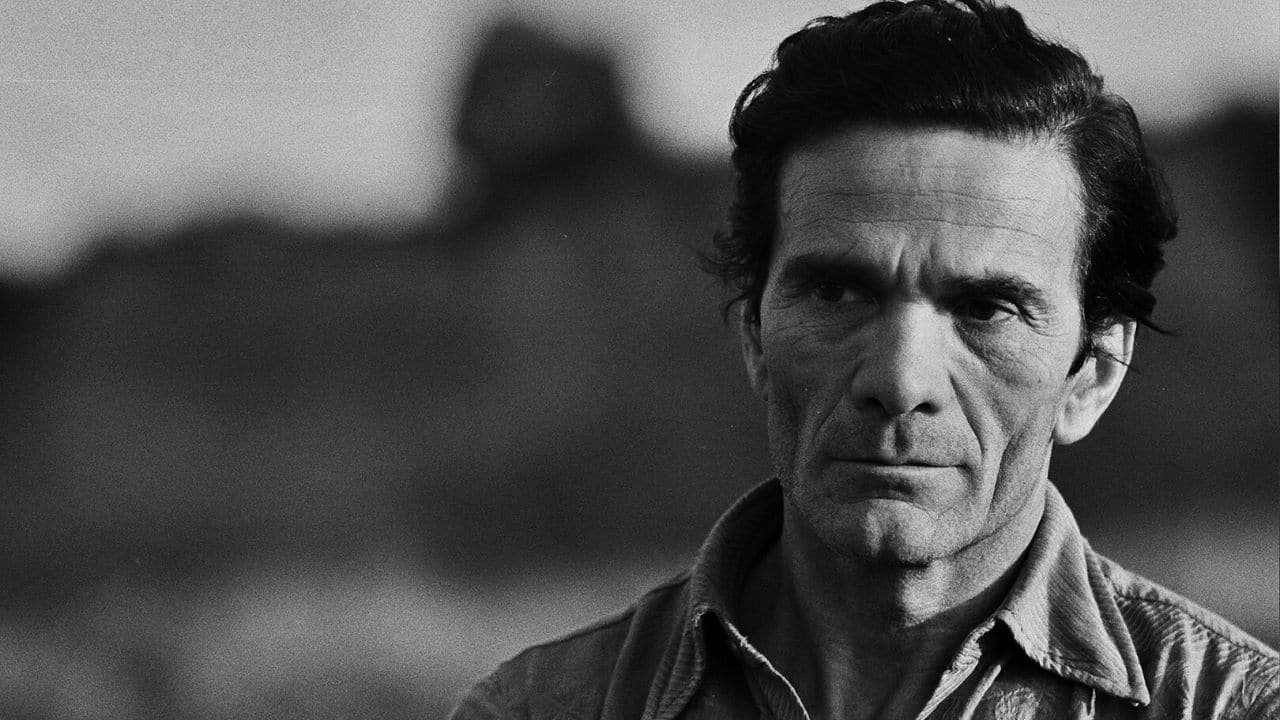 Pier Paolo Pasolini. A guerra de um contra todos