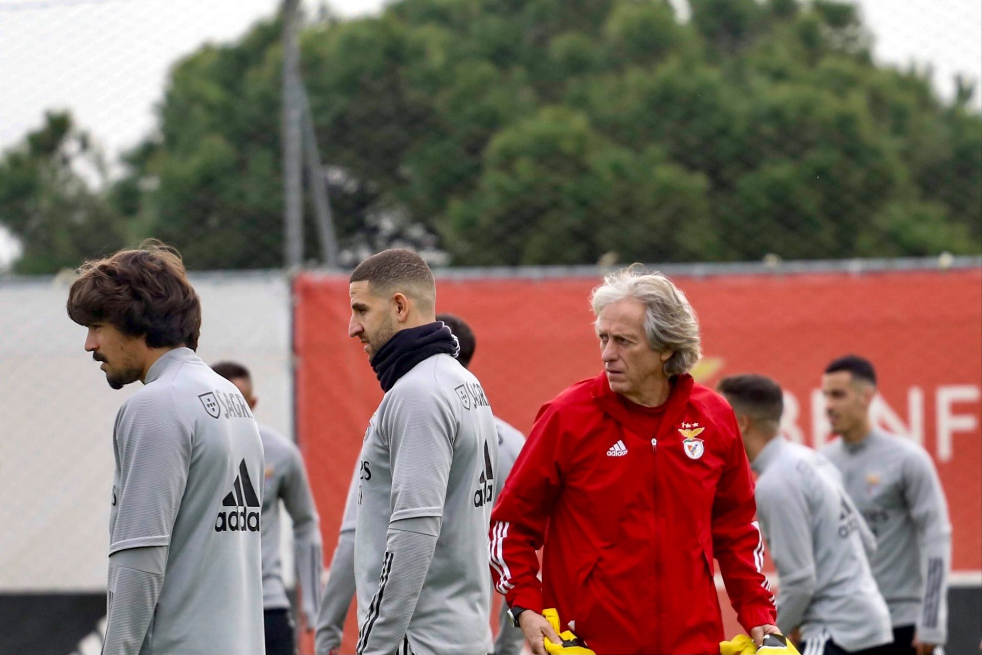 DGS remete adiamento de jogos do Benfica à Liga