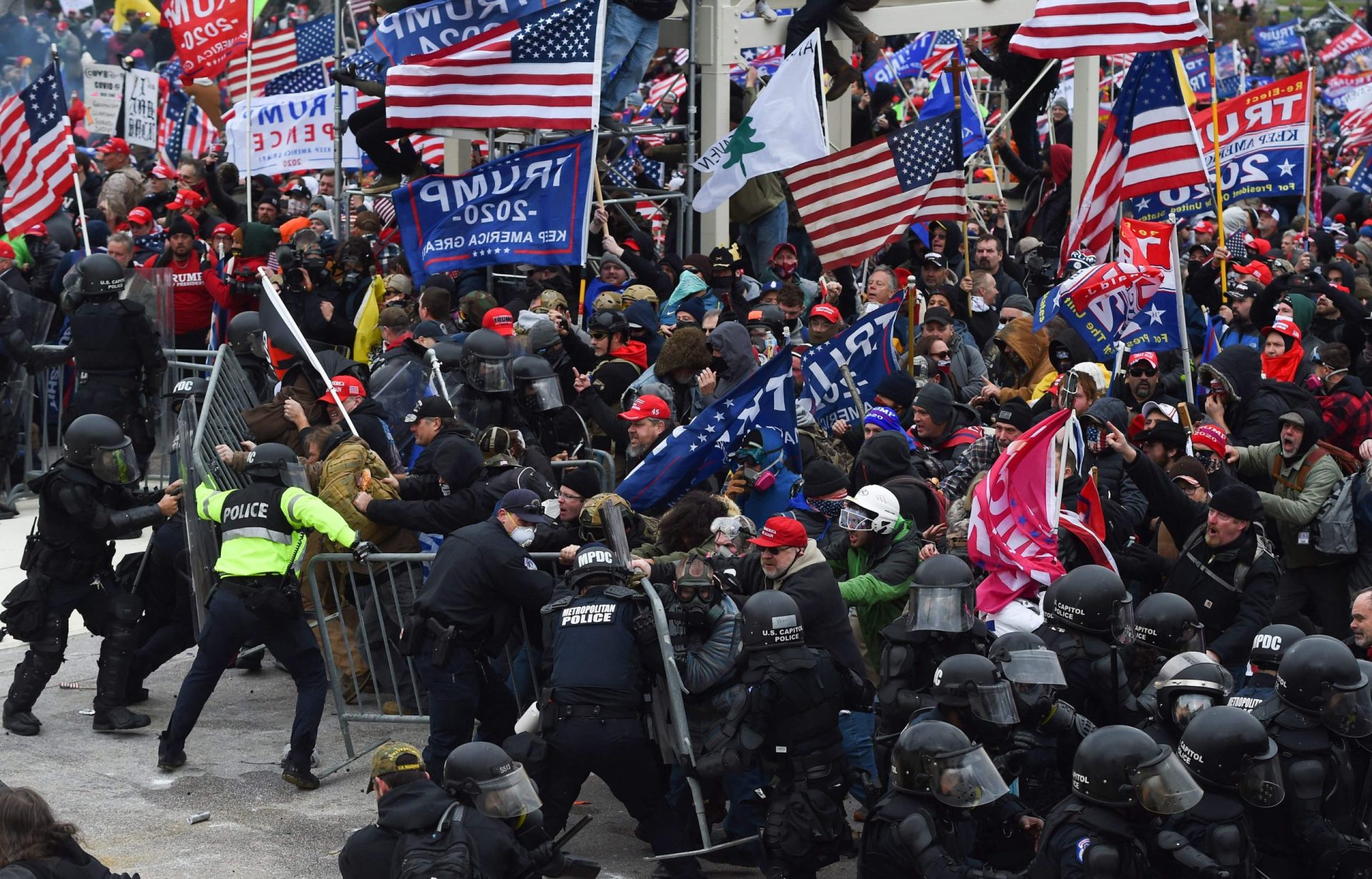 Manifestantes que invadiram Capitólio são “muito especiais”, disse Trump