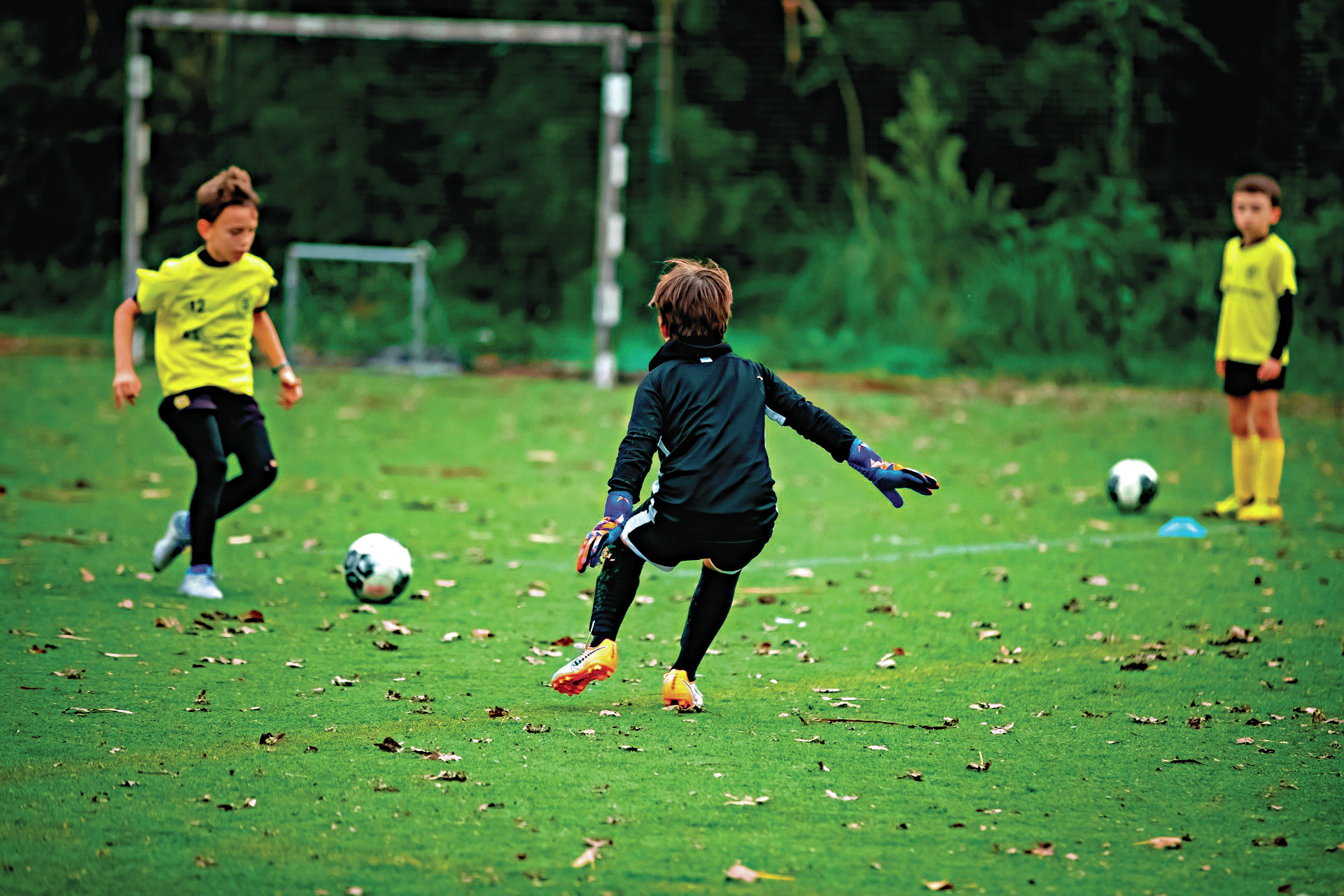 Clubes sem rendimentos, atletas sem motivação. O desporto está em perigo