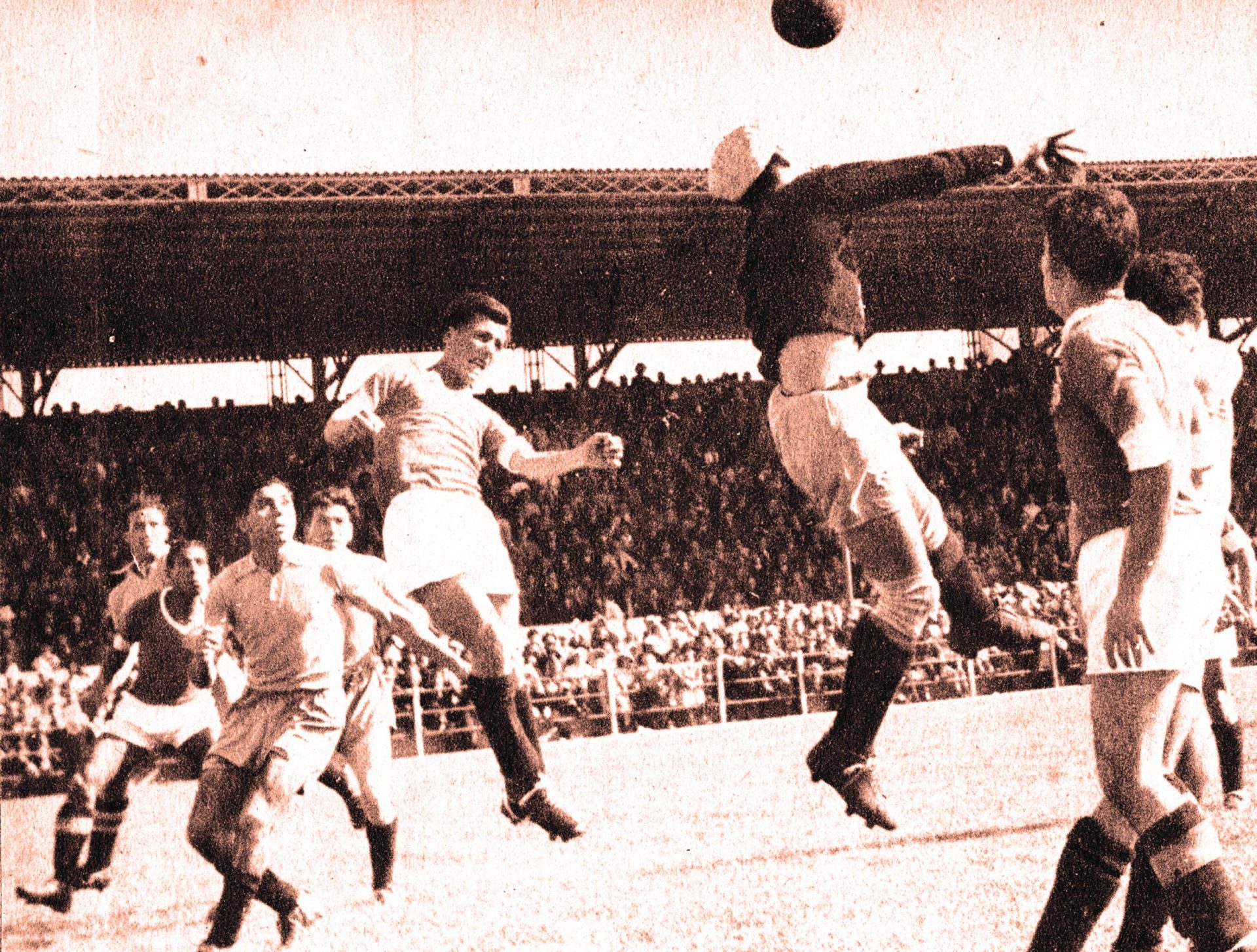 Estoril-Benfica. Quando a águia fez gato-sapato de um bando de canarinhos