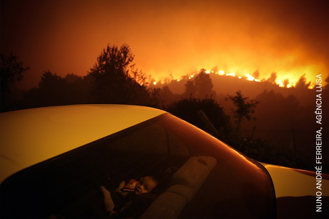 Fotógrafo português entre os premiados do World Press Photo