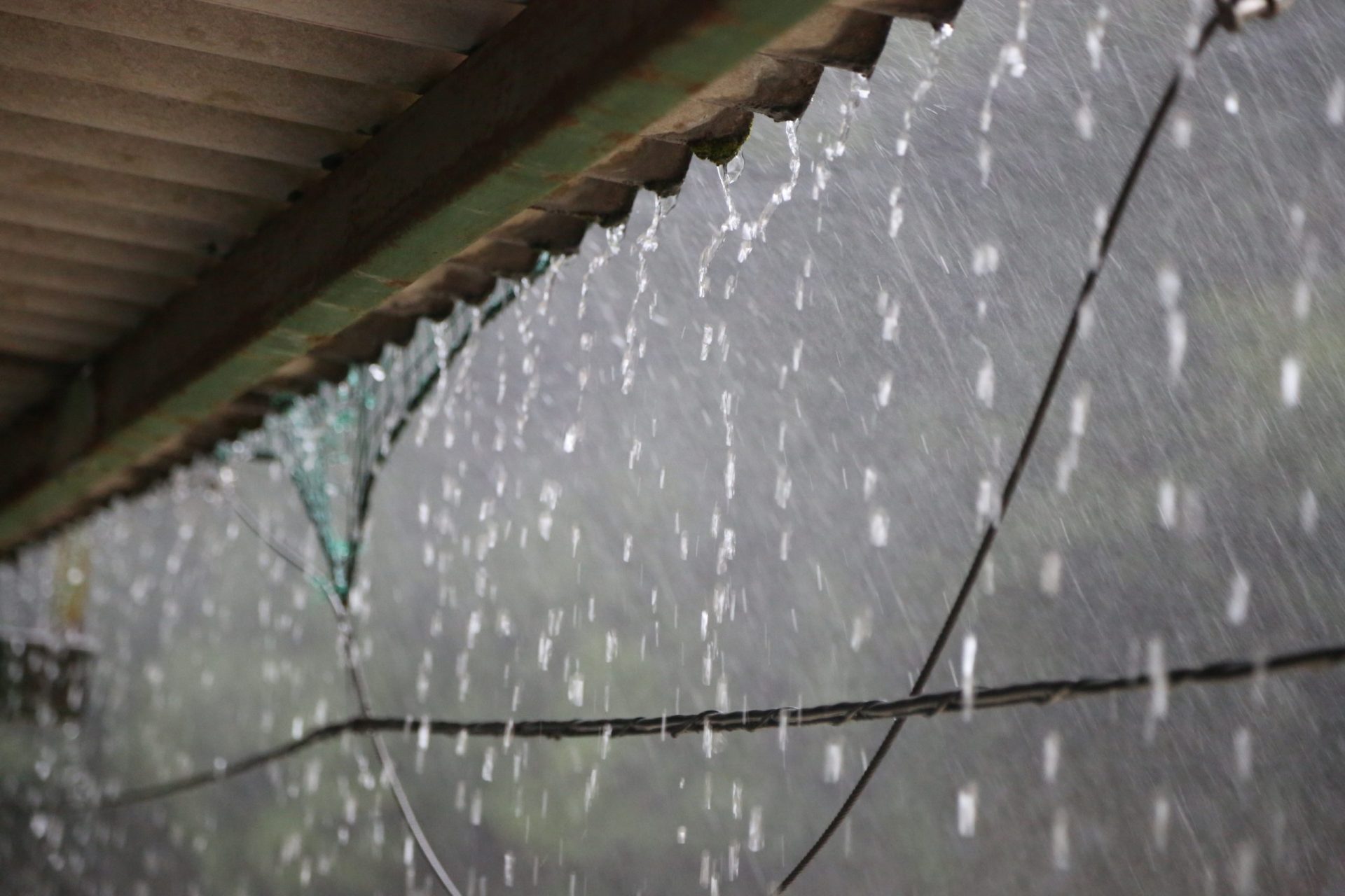 Chuva está de regresso. 13 distritos do continente sob aviso amarelo