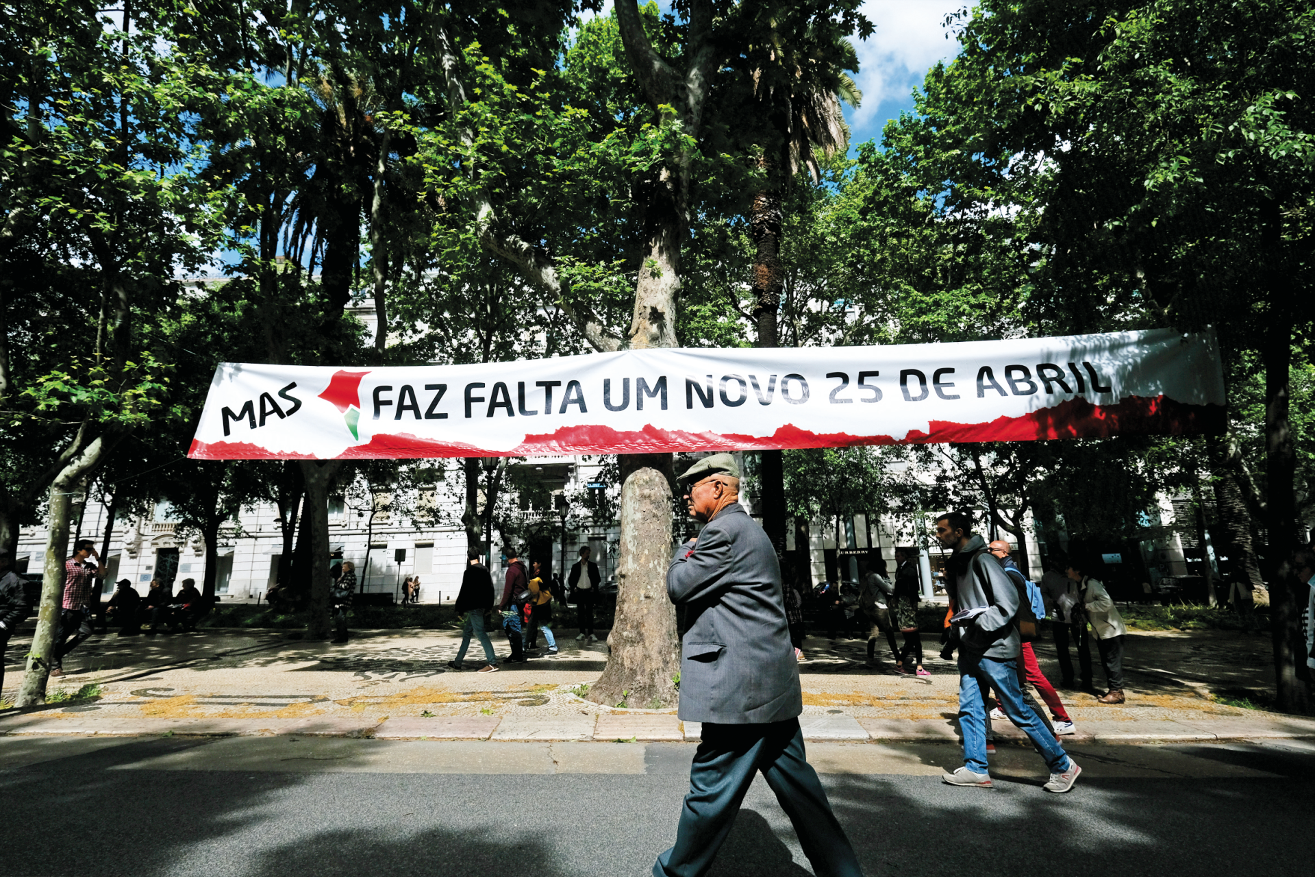 25 de Abril. Socialistas criticam exclusão da Iniciativa Liberal