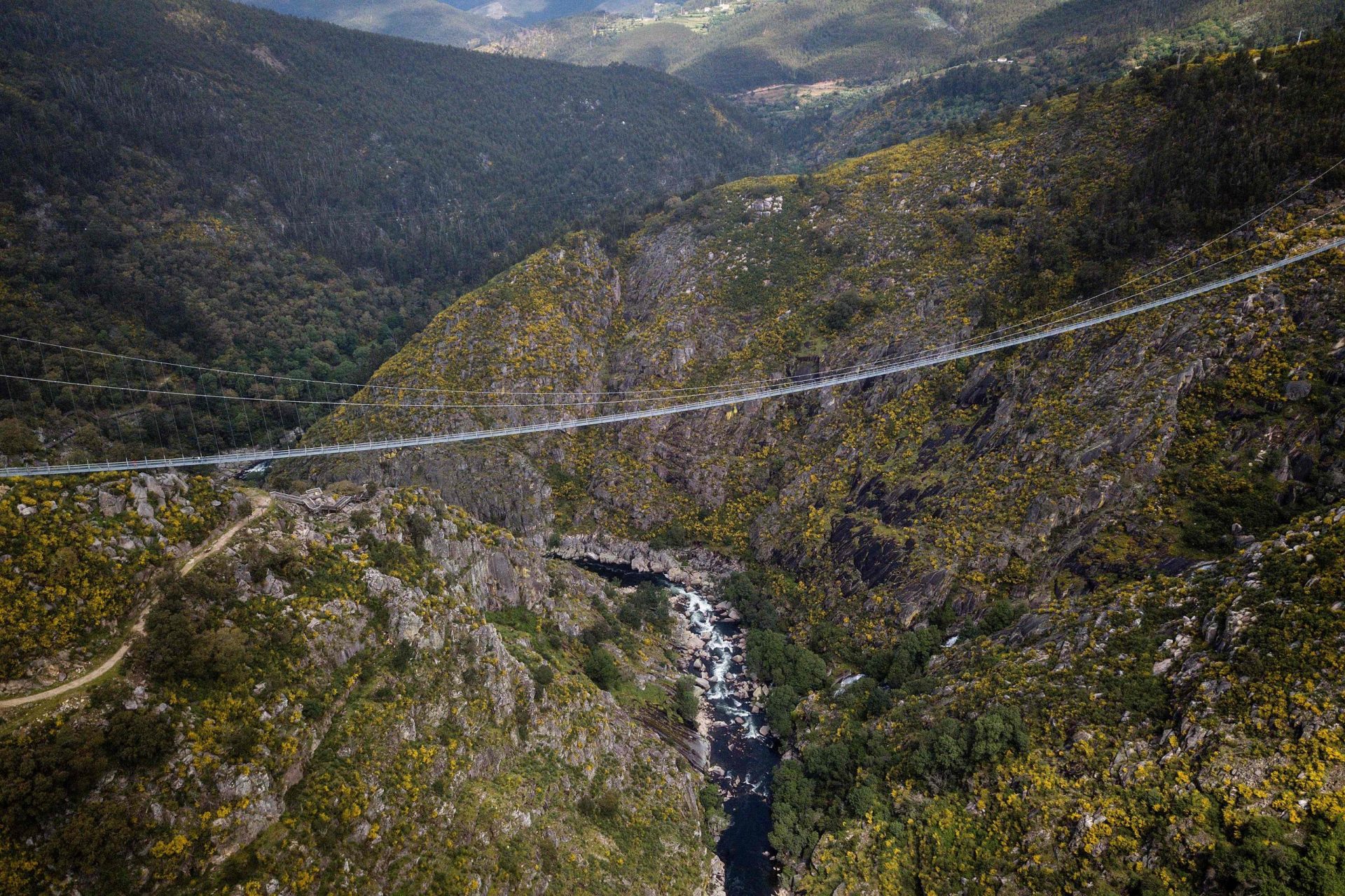 Arouca abriu a maior ponte pedonal suspensa do mundo e o momento não passou despercebido lá fora