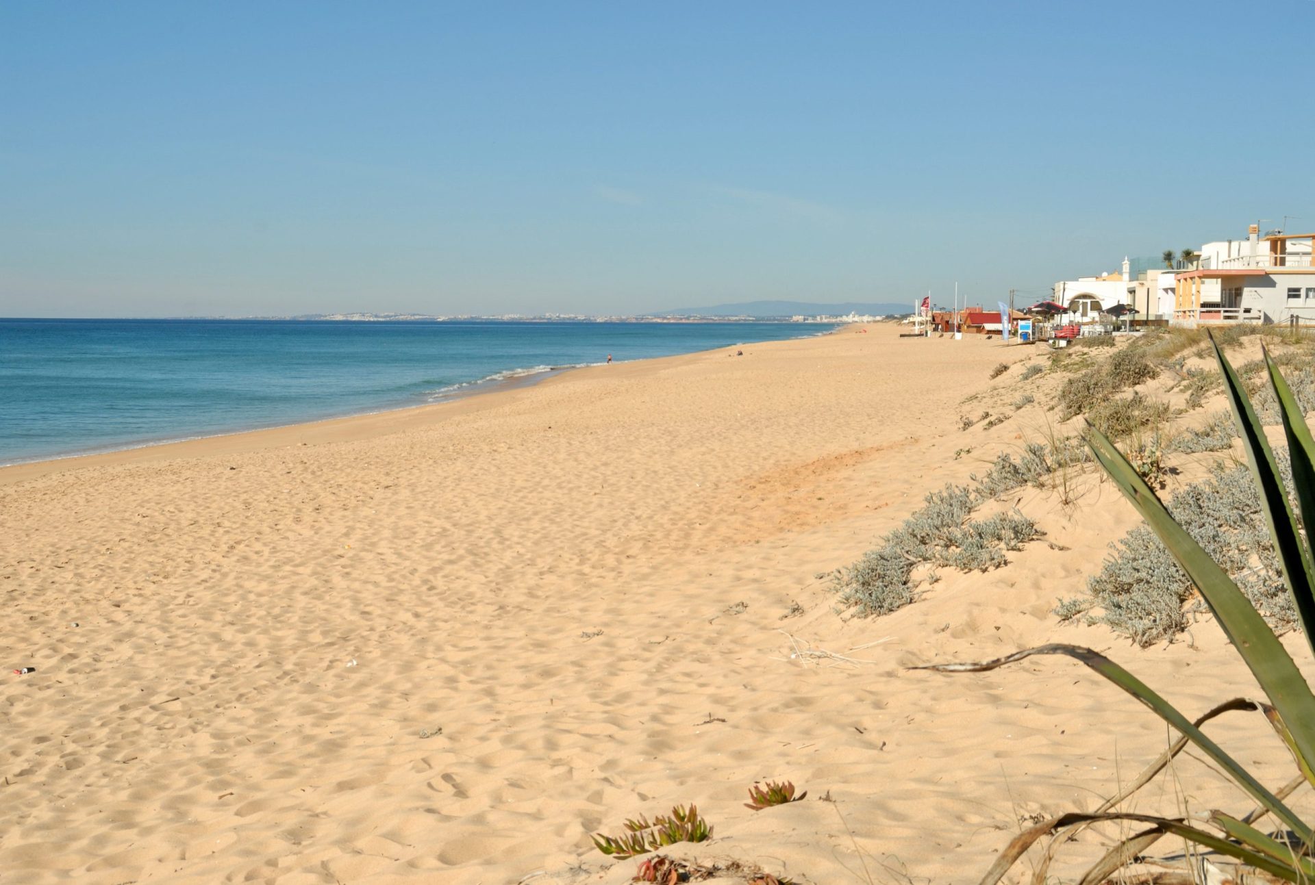 Praias sem poluição. Segundo a Zero, são menos que em 2020