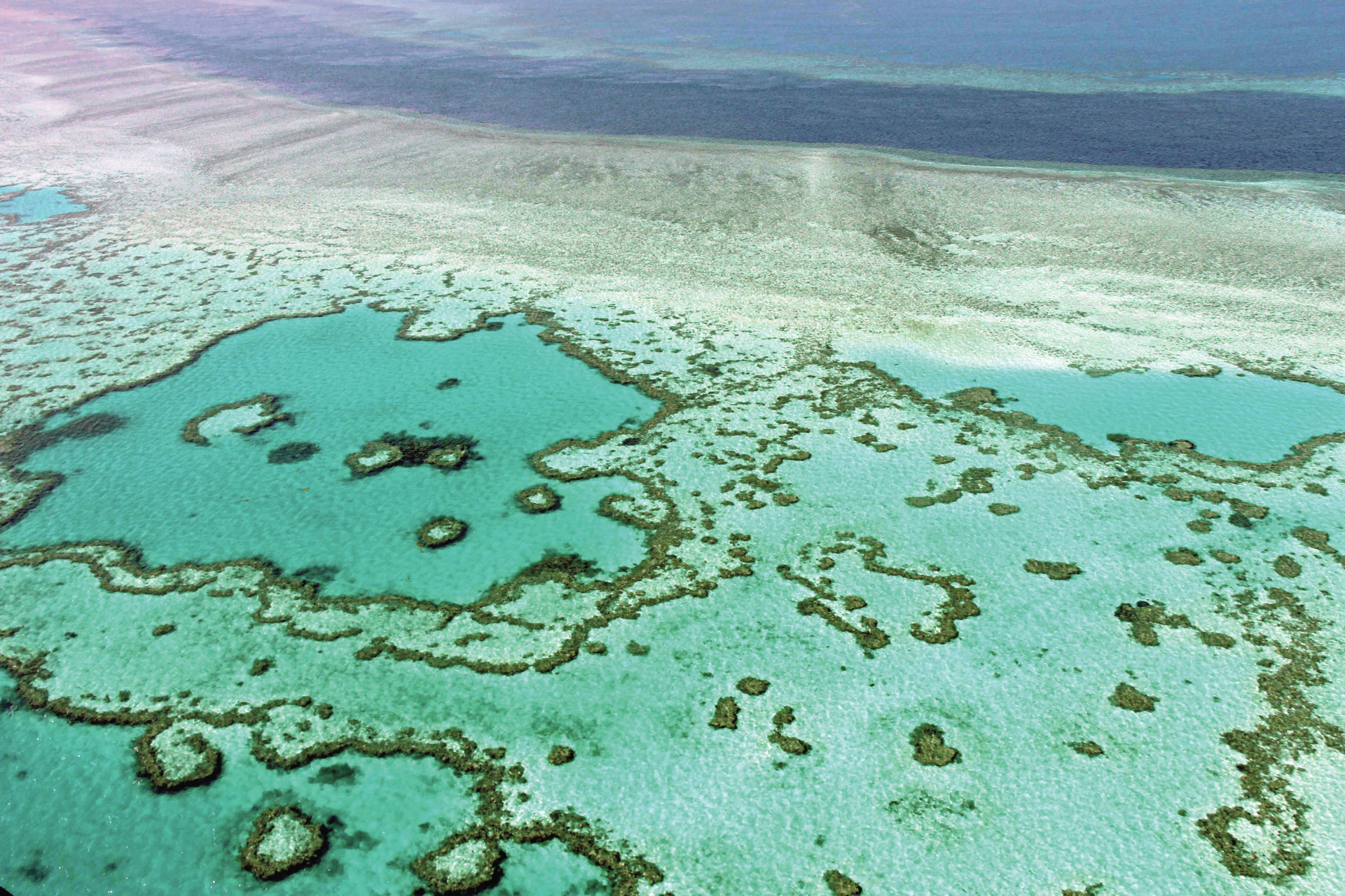 Grande Barreira de Coral está em &#8220;perigo&#8221;, diz UNESCO. Austrália discorda