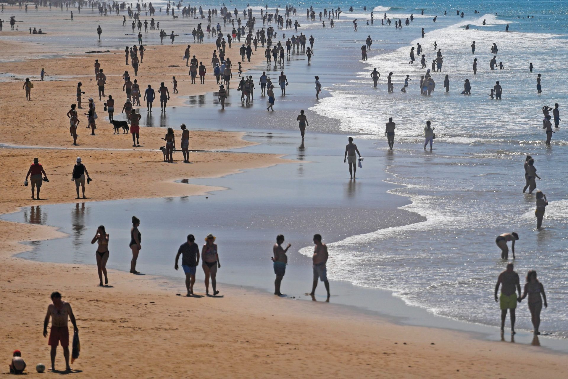 Alterações climáticas. As regiões de clima mediterrânico estão a mudar