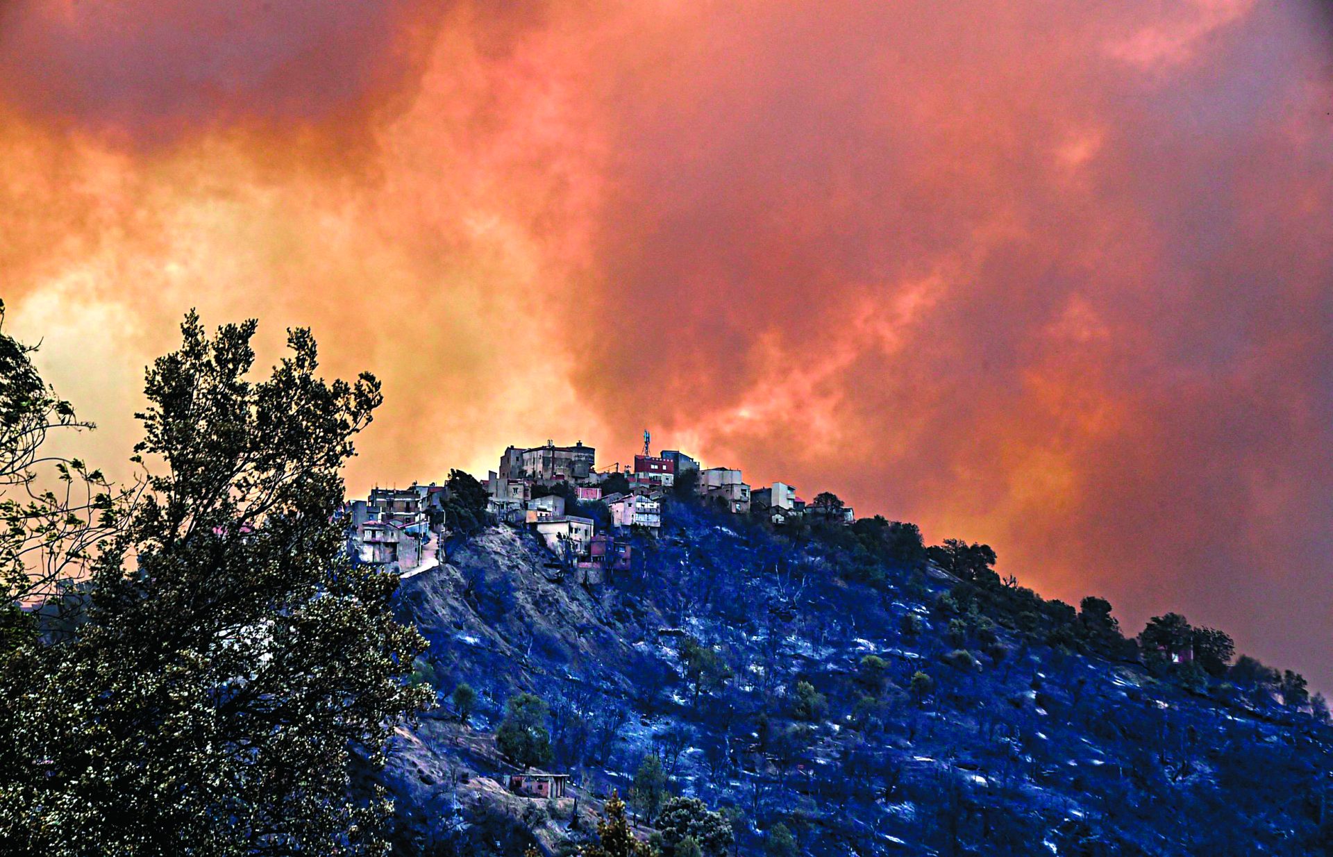 Incêndios. Argélia arde enquanto aguarda por ajuda internacional