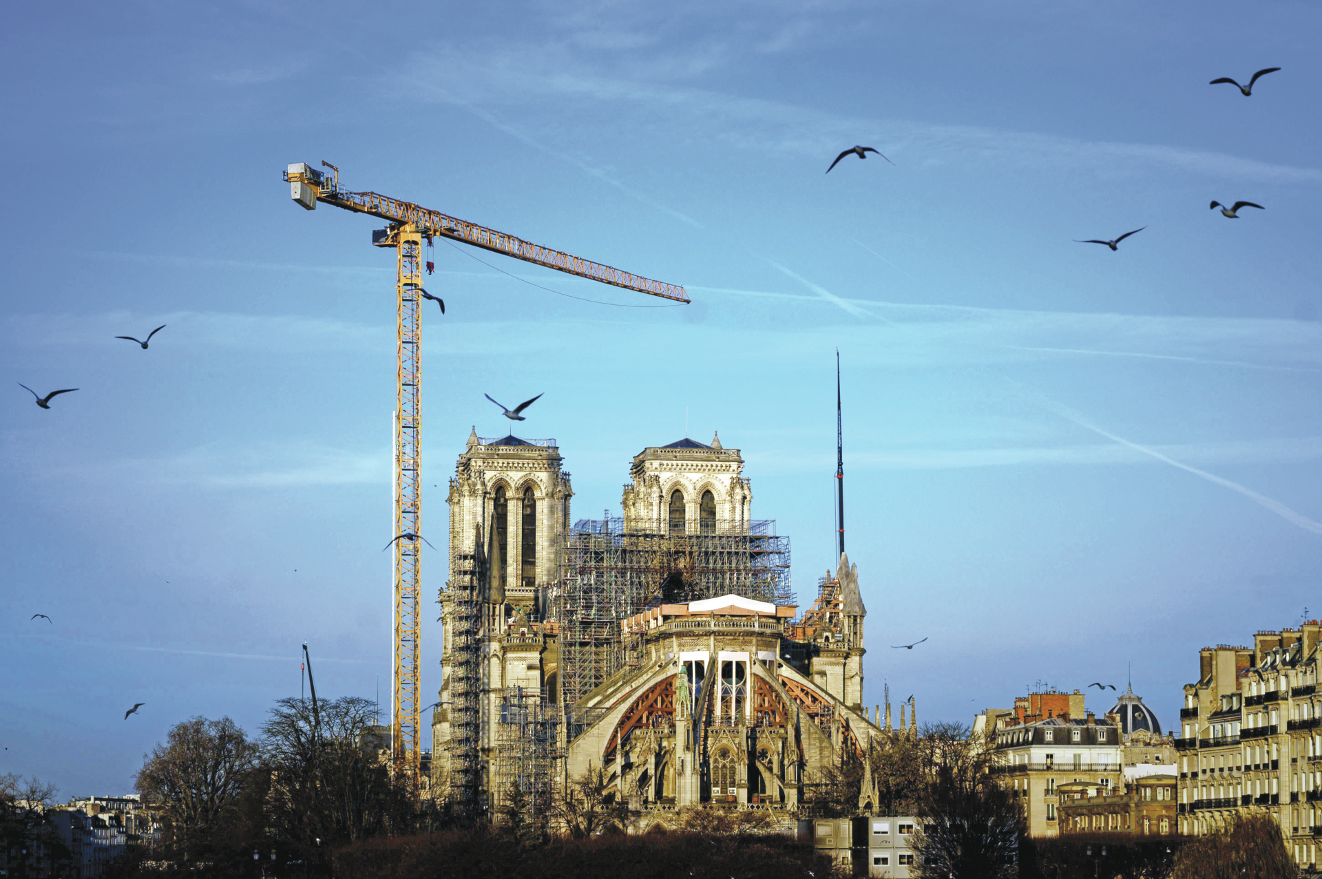 Notre-Dame. Catedral poderá reabrir em 2024