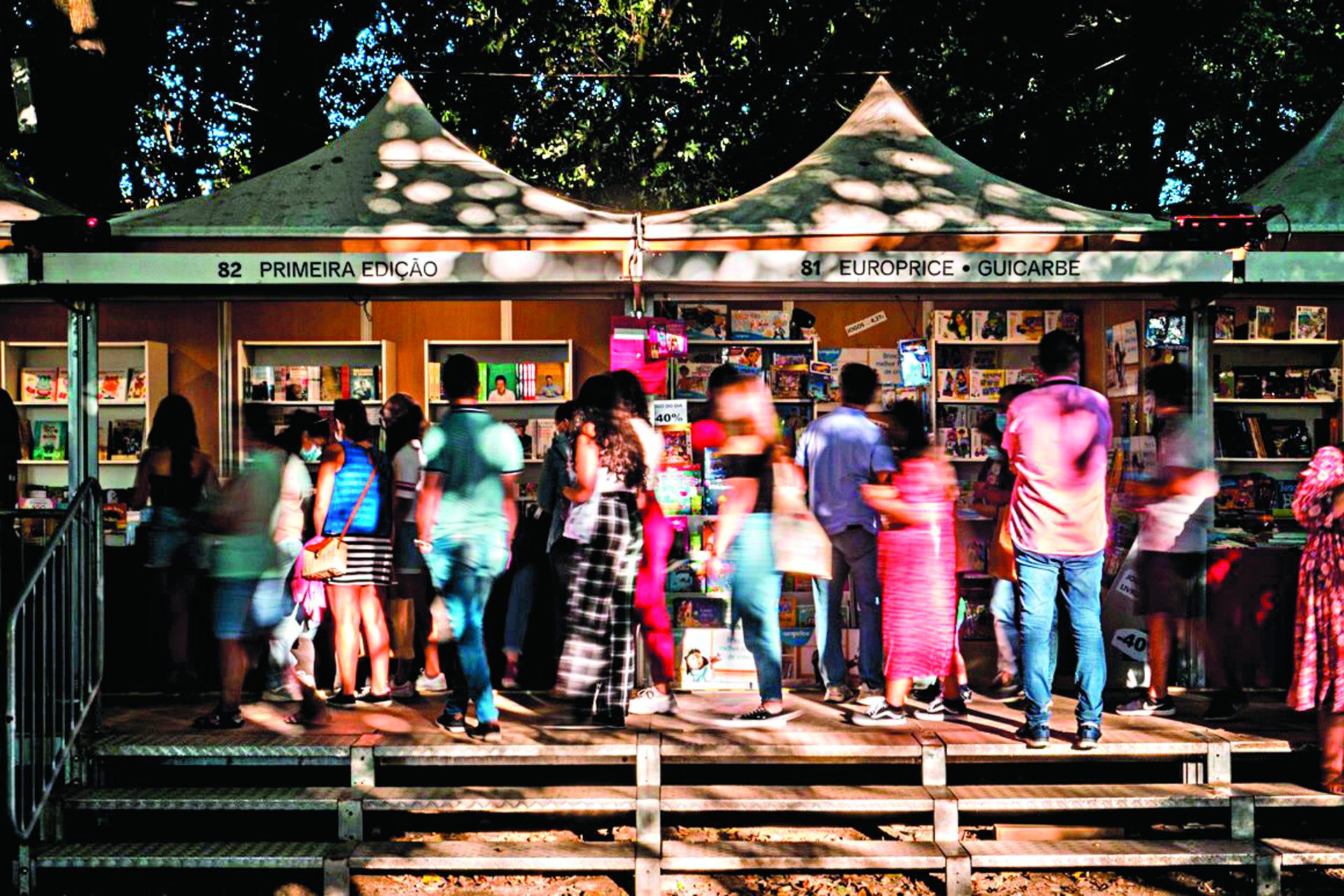 Feira do Livro do Porto. Entre os livros, uma flor com memória de ossos