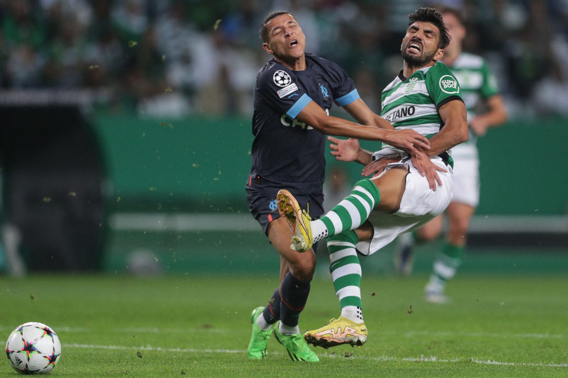 Liga dos Campeões. Porto passeia e Sporting afunda