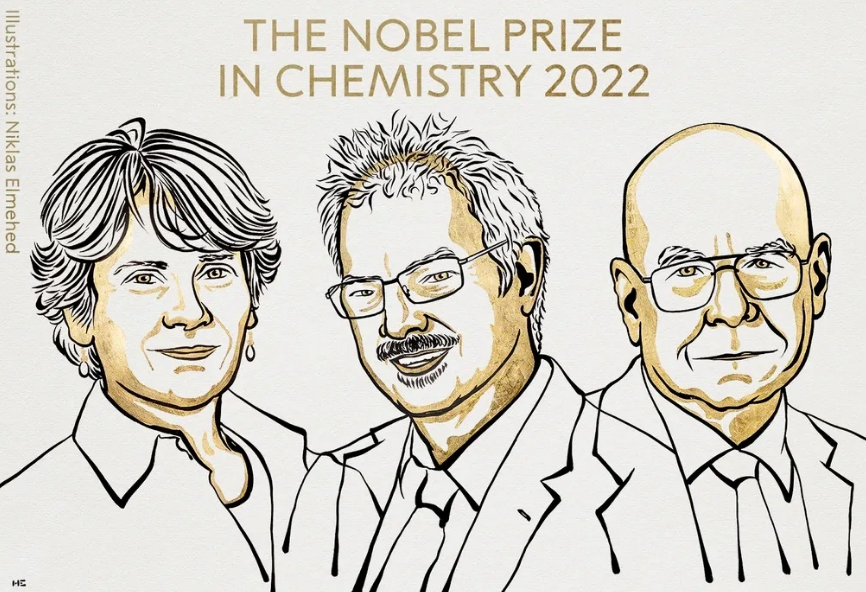 Nobel. Bertozzi, Meldal e Sharpless vencem prémio de Química