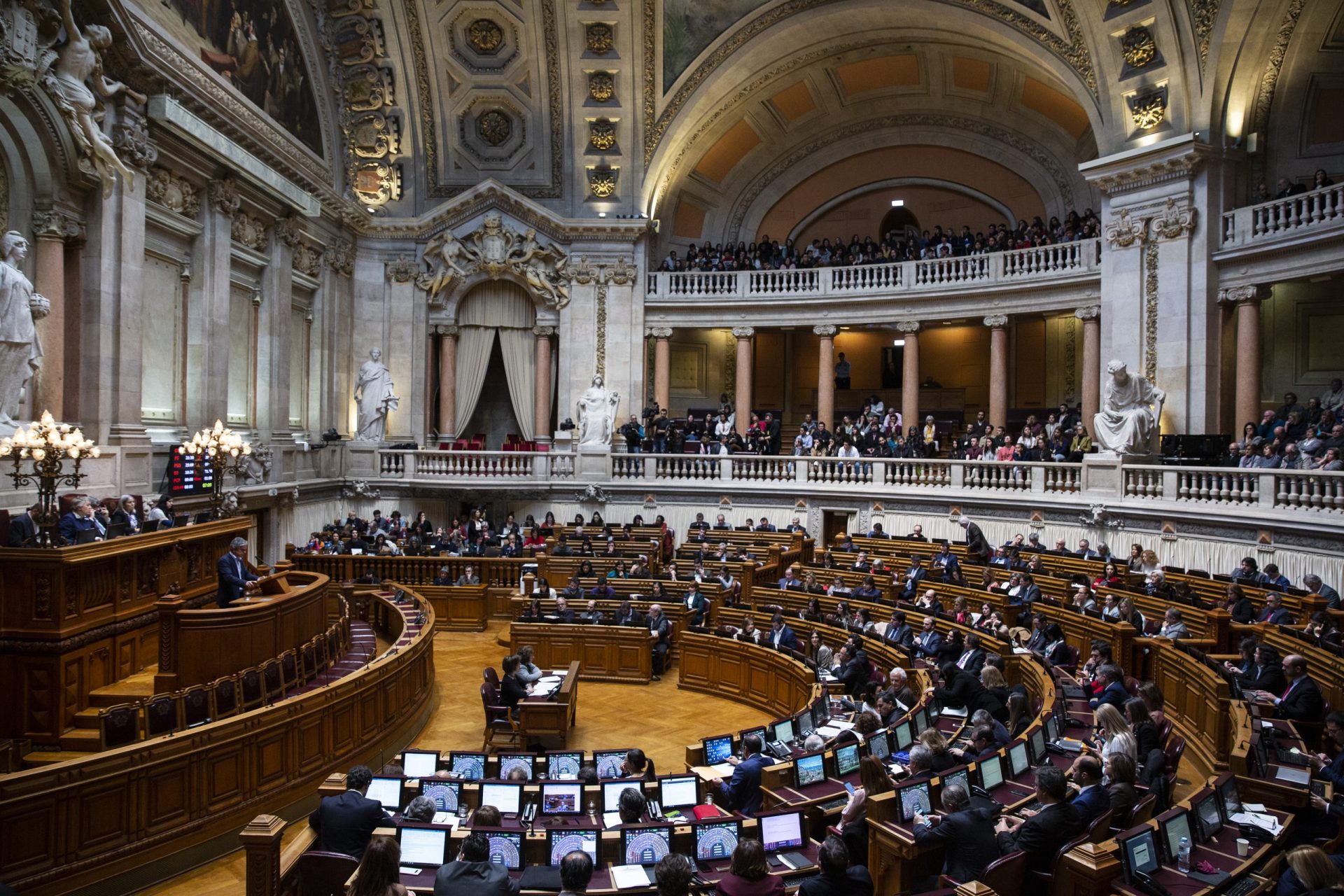 Eutanásia. “As emendas são piores que o texto original”