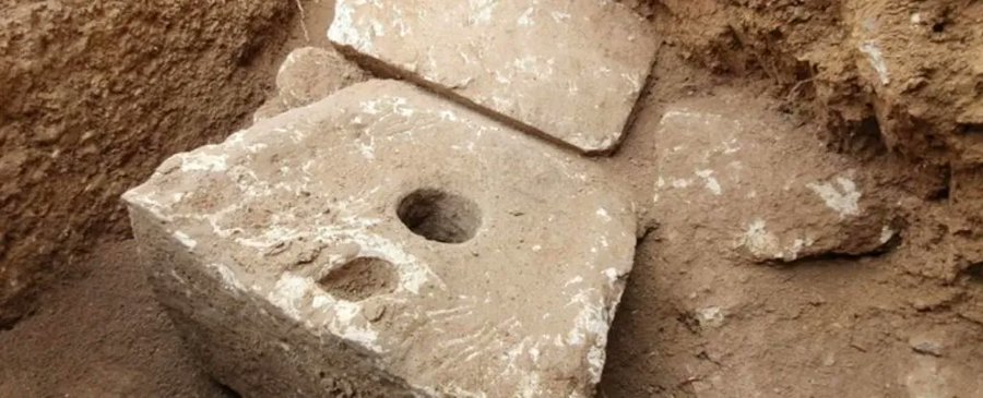 Encontrados ovos de parasitas com mais de 2.700 anos numa casa de banho em Israel