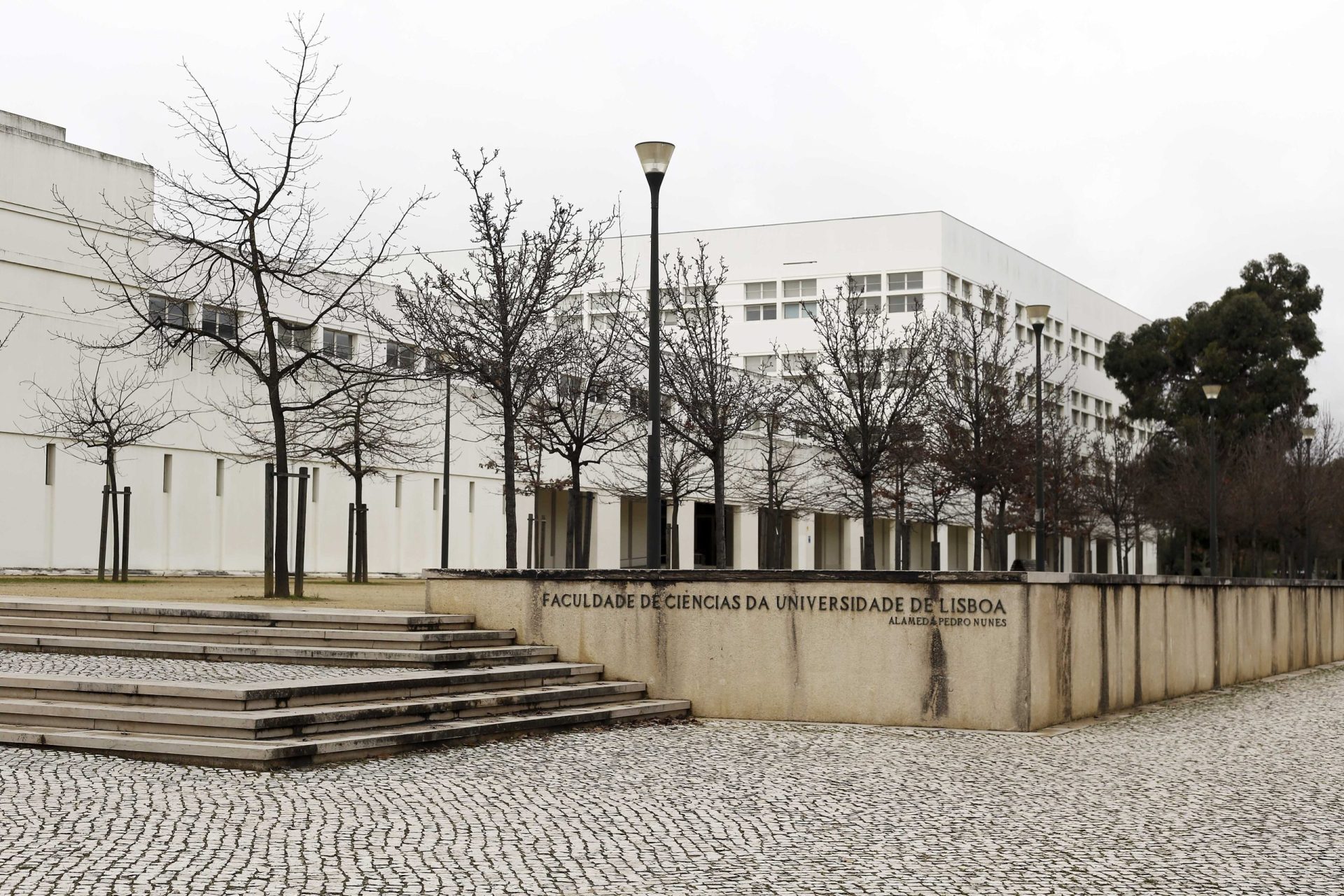 Atentado à FCUL. Faculdade colaborou com as autoridades e não vai alterar calendário de exames