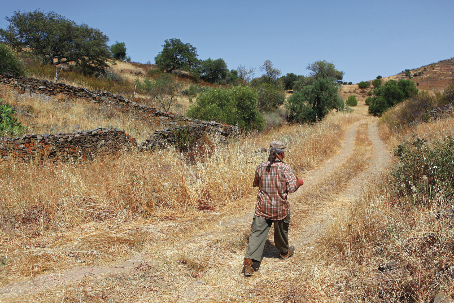 Seca. Algarve reduz rega de espaços verdes e fontes