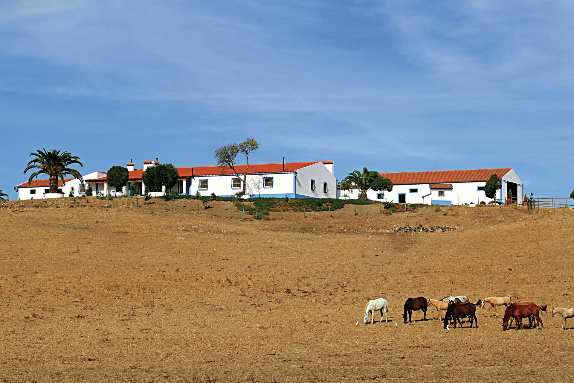 Seca. &#8220;Agricultores estão aflitos e não sabem o que devem fazer&#8221;