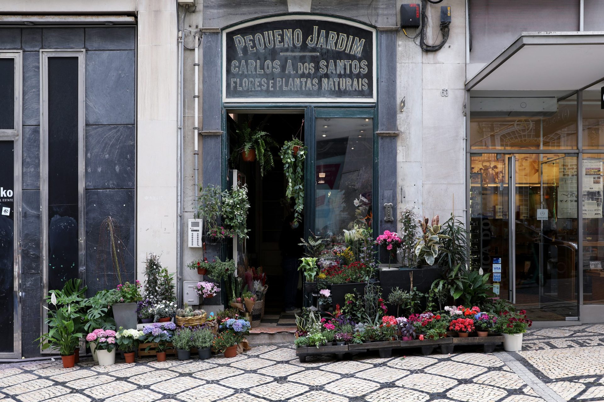 Pequeno Jardim. A florista com 100 anos que dá cor à Rua Garrett