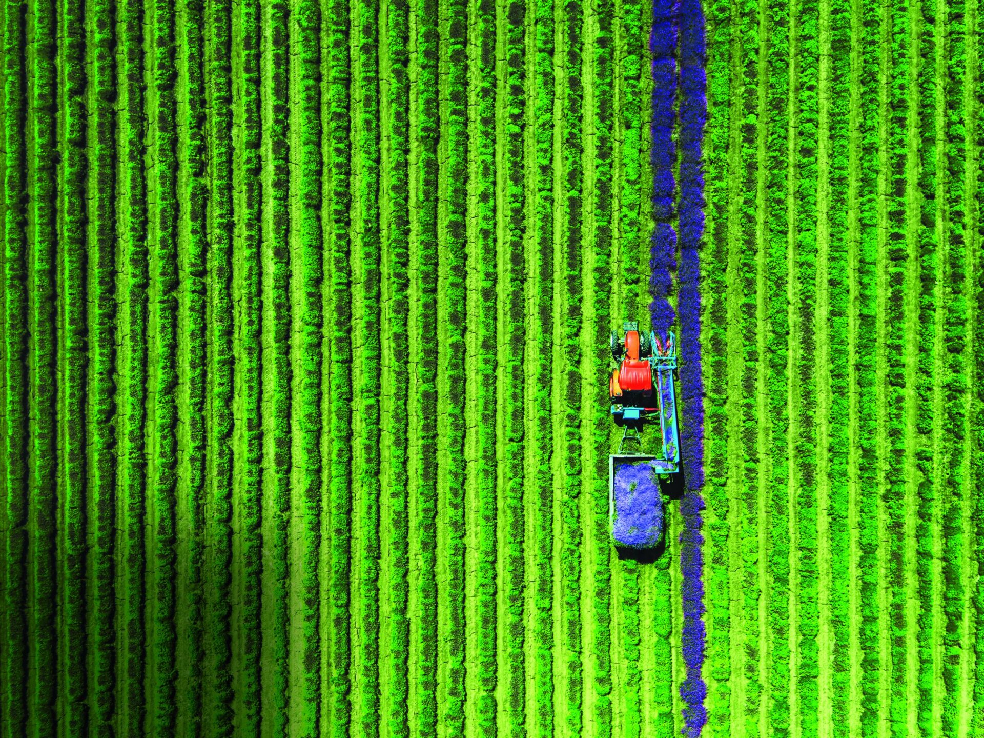 Pordata. Há cada vez menos pessoas a trabalhar na agricultura em Portugal