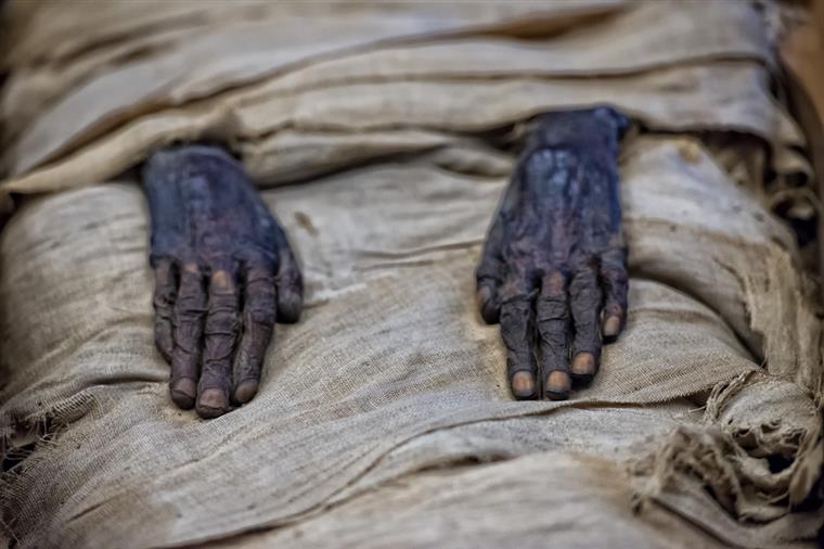 Arqueólogos descobrem um tesouro de múmias egípcias antigas