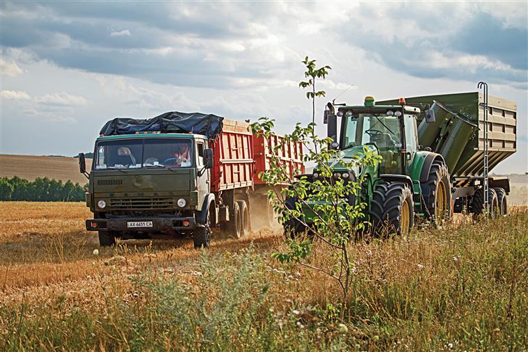 Escassez. Onze países enfrentam risco elevado de uma crise alimentar