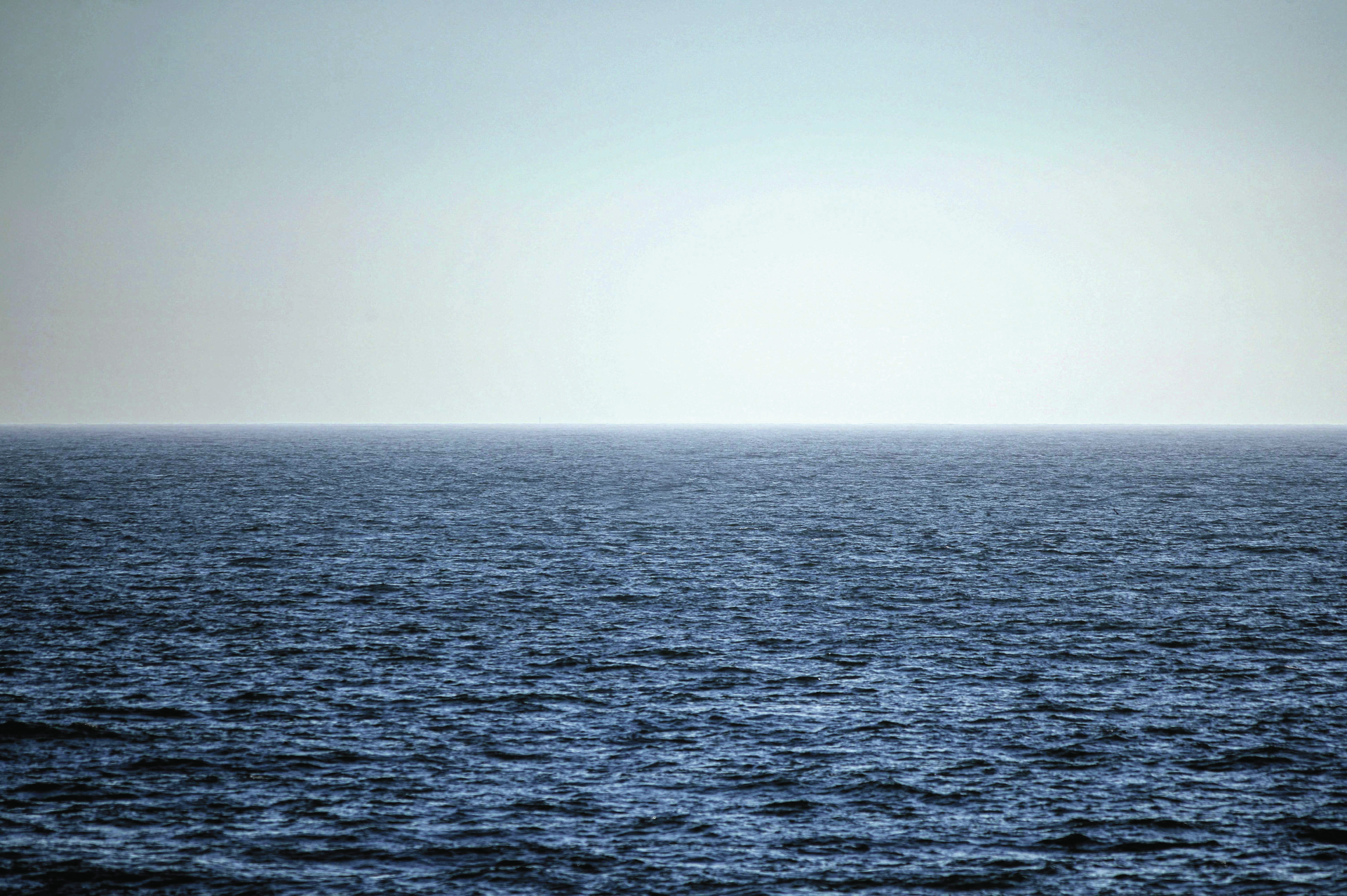 Lisboa palco da proteção dos oceanos. O que sabe sobre o mar? Quanto vai subir e o que esconde