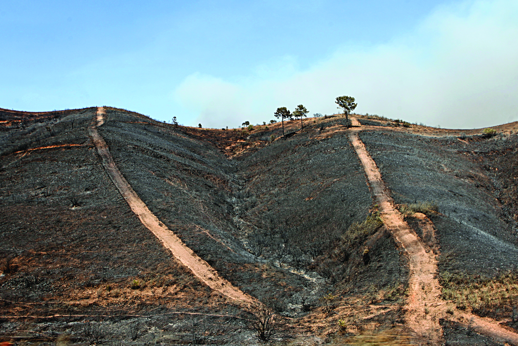 Área ardida quase a superar 2021. Em 20 anos arderam 2,9 milhões de hectares