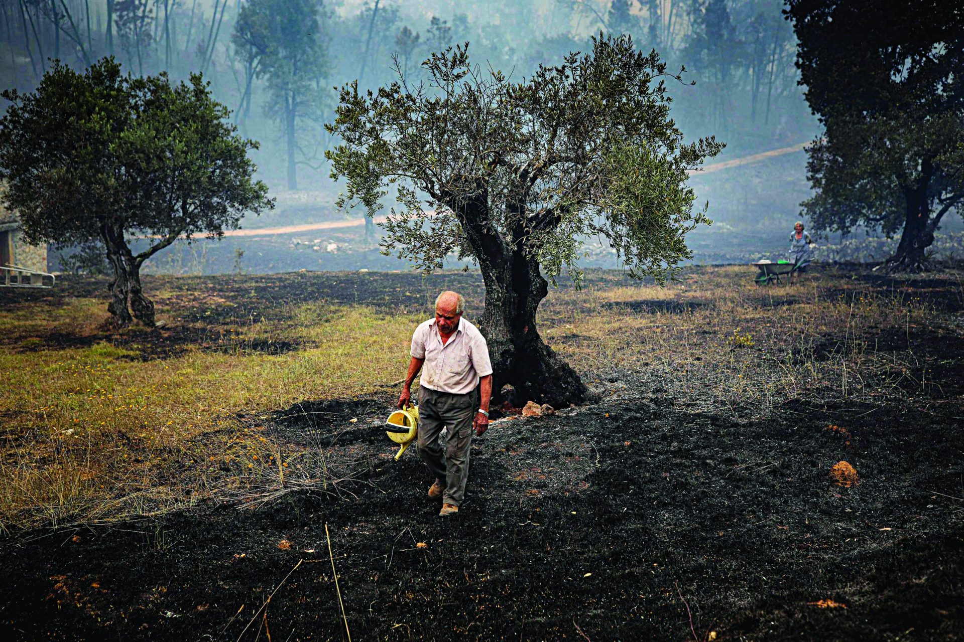 Dia infernal. Fogo ataca em várias frentes com críticas à resposta