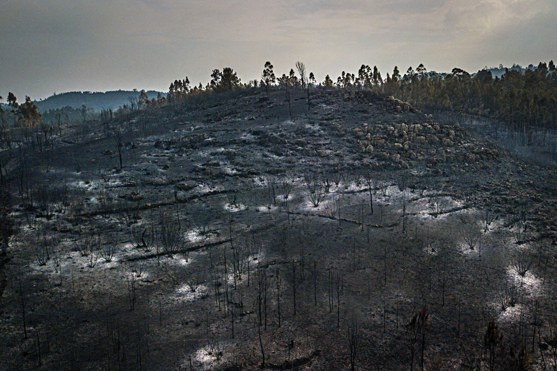 Incêndios. Contingência deve manter-se para além de domingo