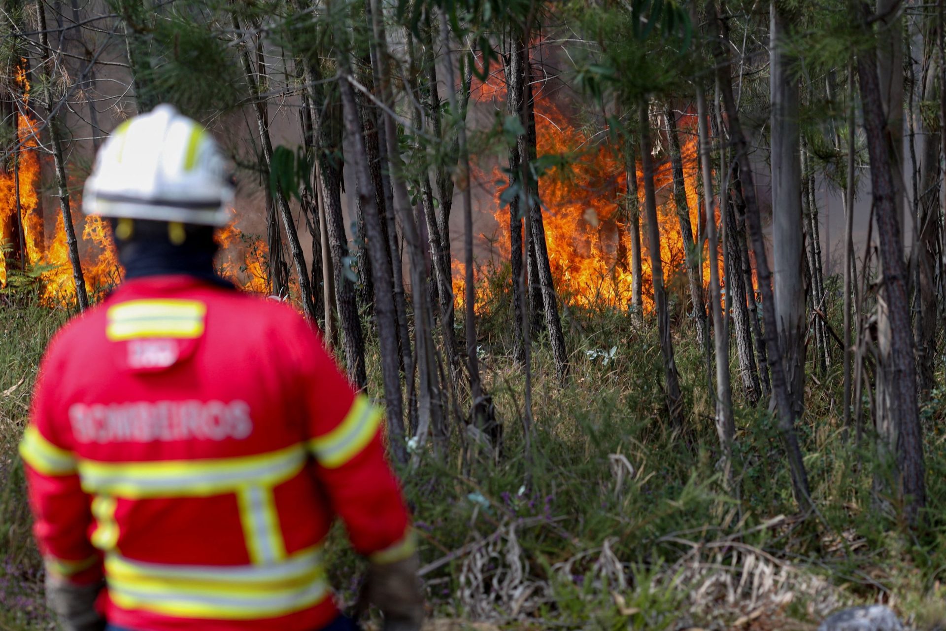 Incêndios. Risco leva Chega e Bloco de Esquerda a cancelar eventos