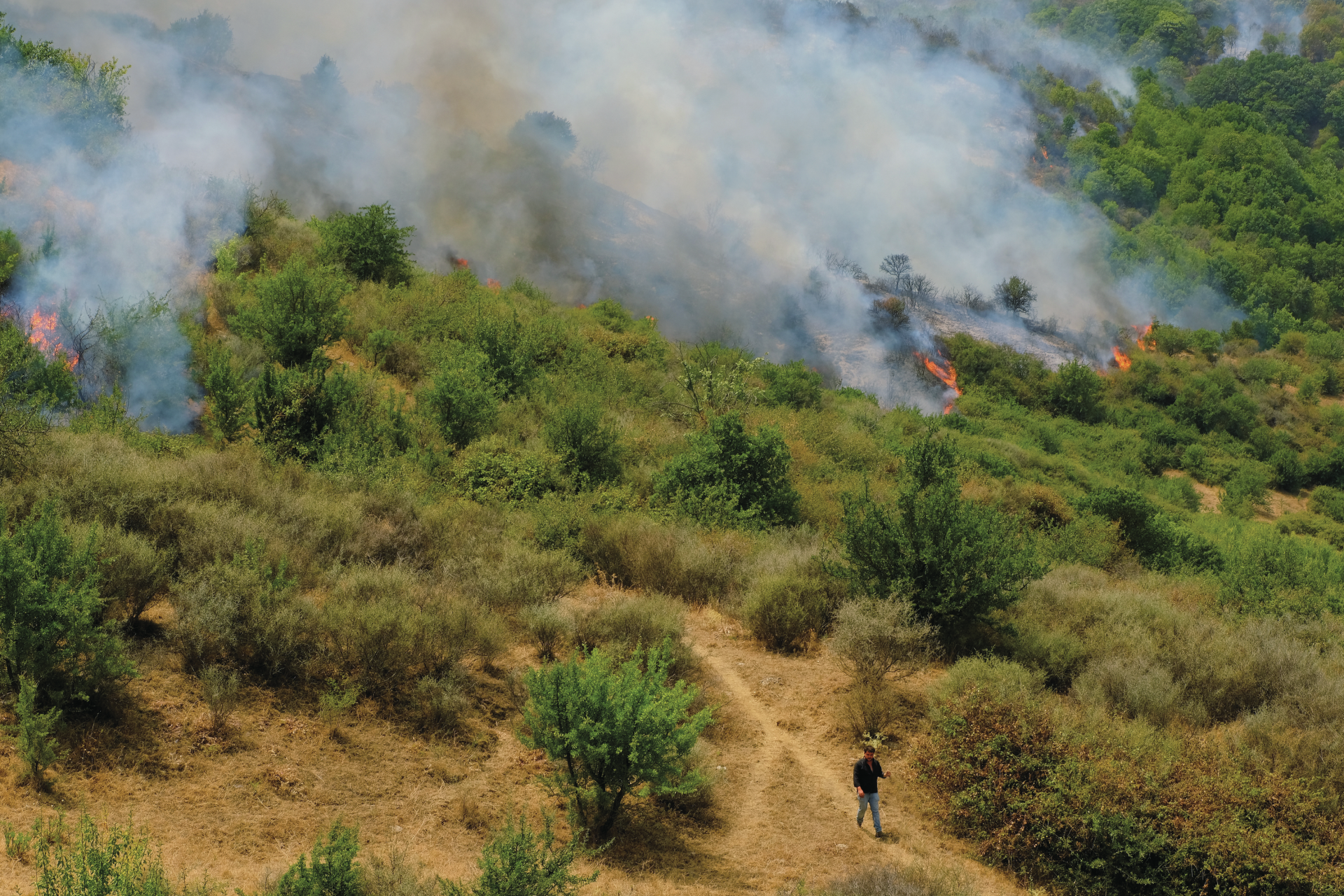 Incendiários. PSP e GNR já detiveram quase 70 incendiários