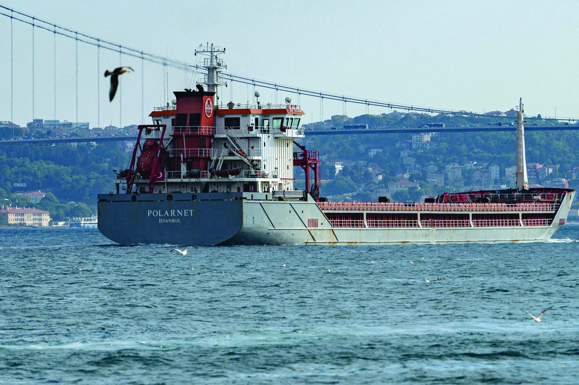 Ucrânia. Navios carregados com cereais já chegaram ao destino