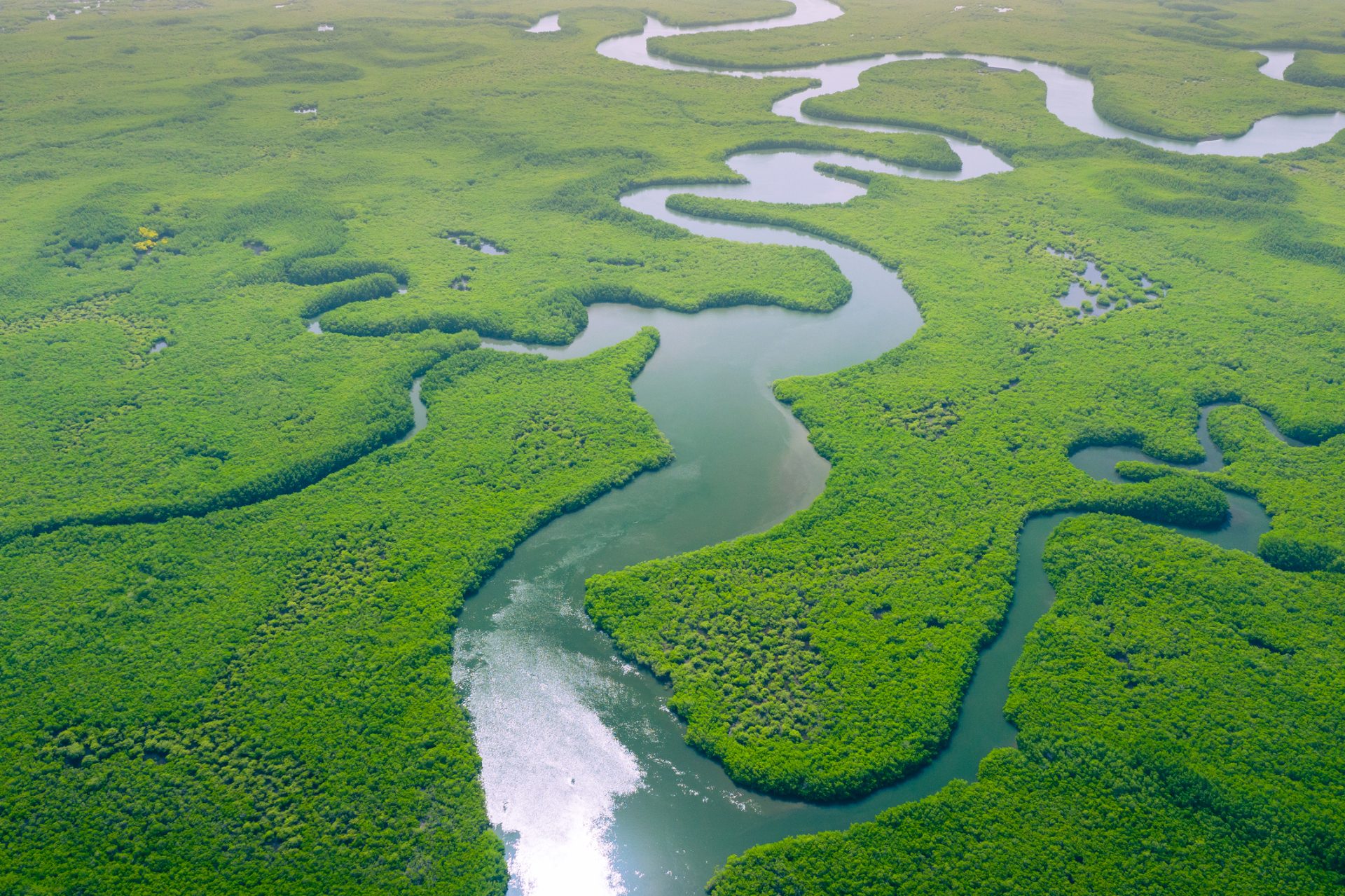 Principal afluente do rio Amazonas está em “situação crítica”