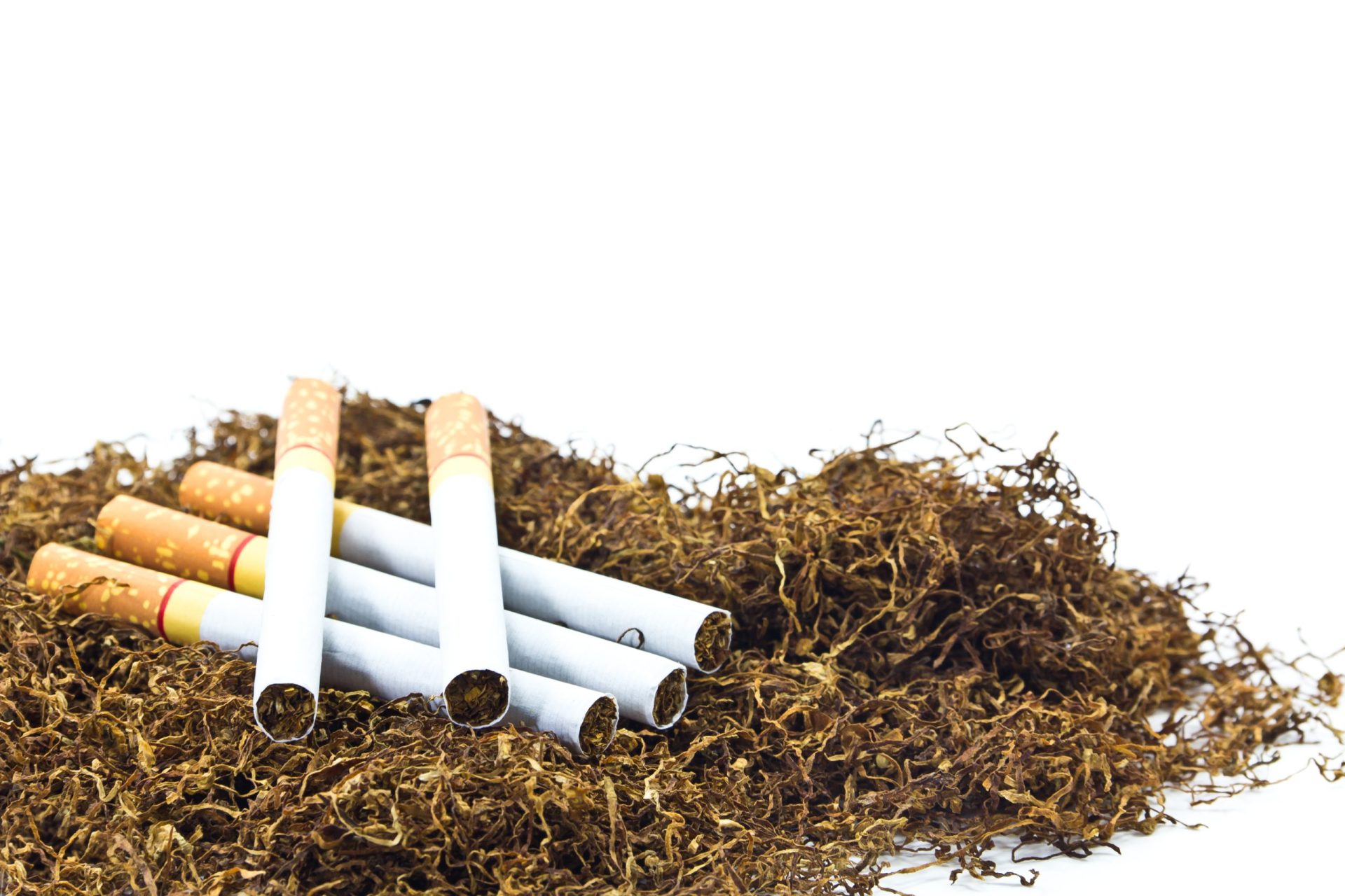 OMS lança campanha contra a interferência da indústria do tabaco nas políticas de saúde pública