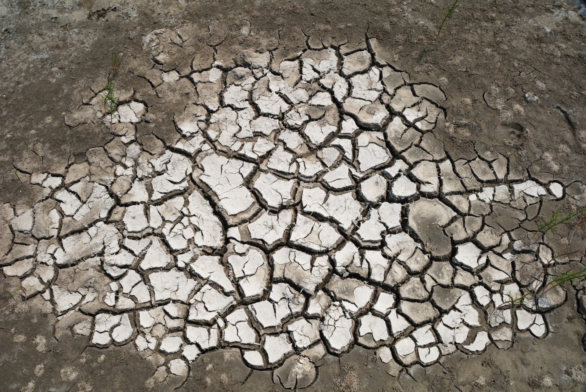 El Niño deverá continuar até abril de 2024