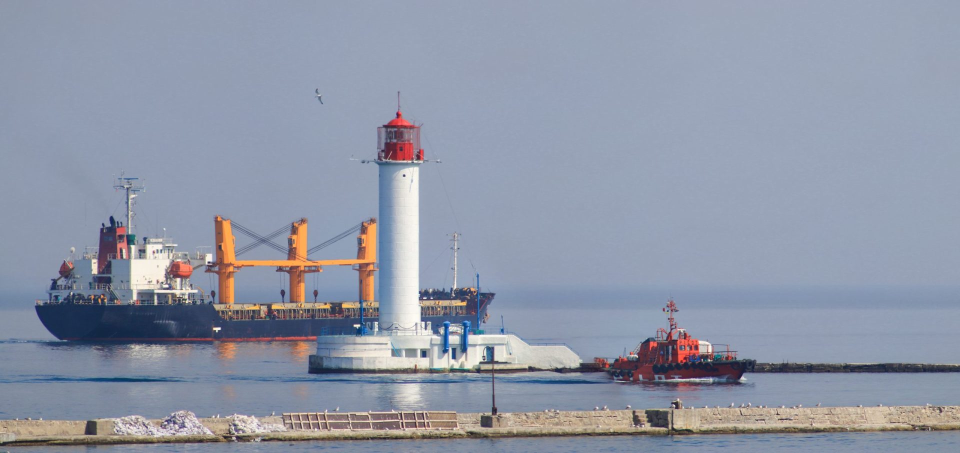 Navio com 3 mil toneladas de trigo ucraniano chegou ao porto de Istambul