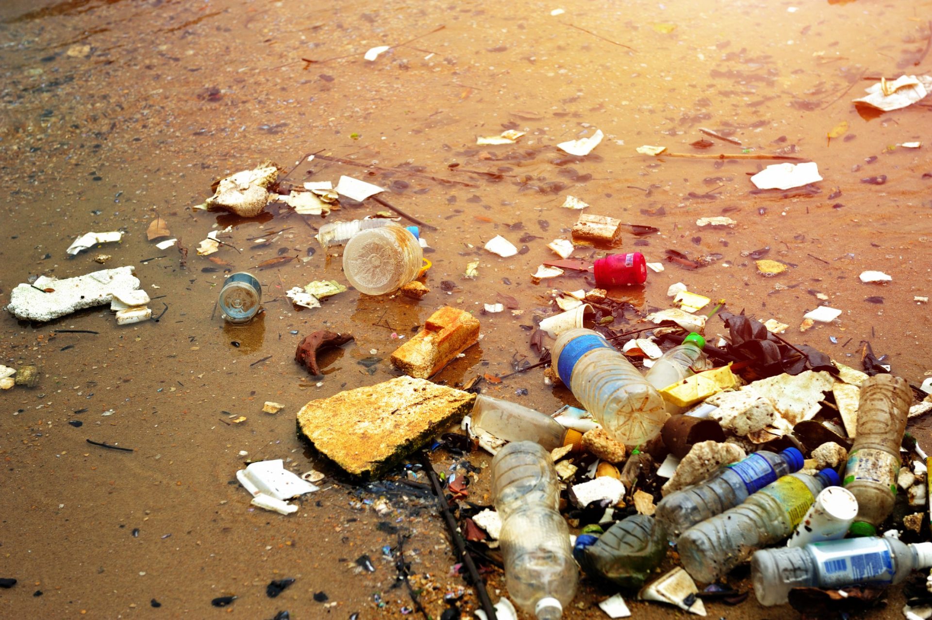 Governo ainda não detetou vestígios de plástico na costa portuguesa