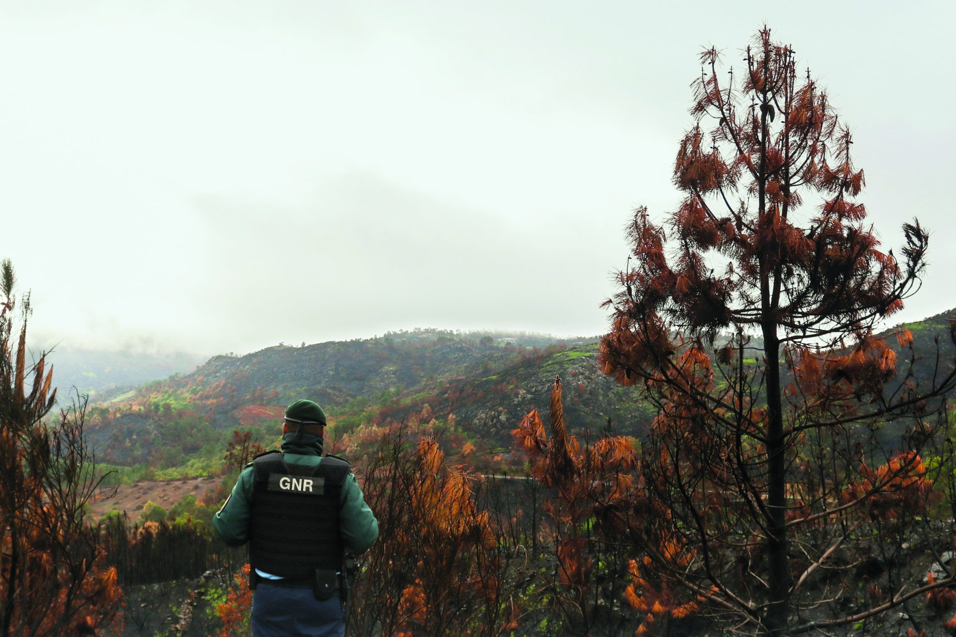 Vila Pouca de Aguiar. Incêndios  dão prejuízo de quatro milhões de euros