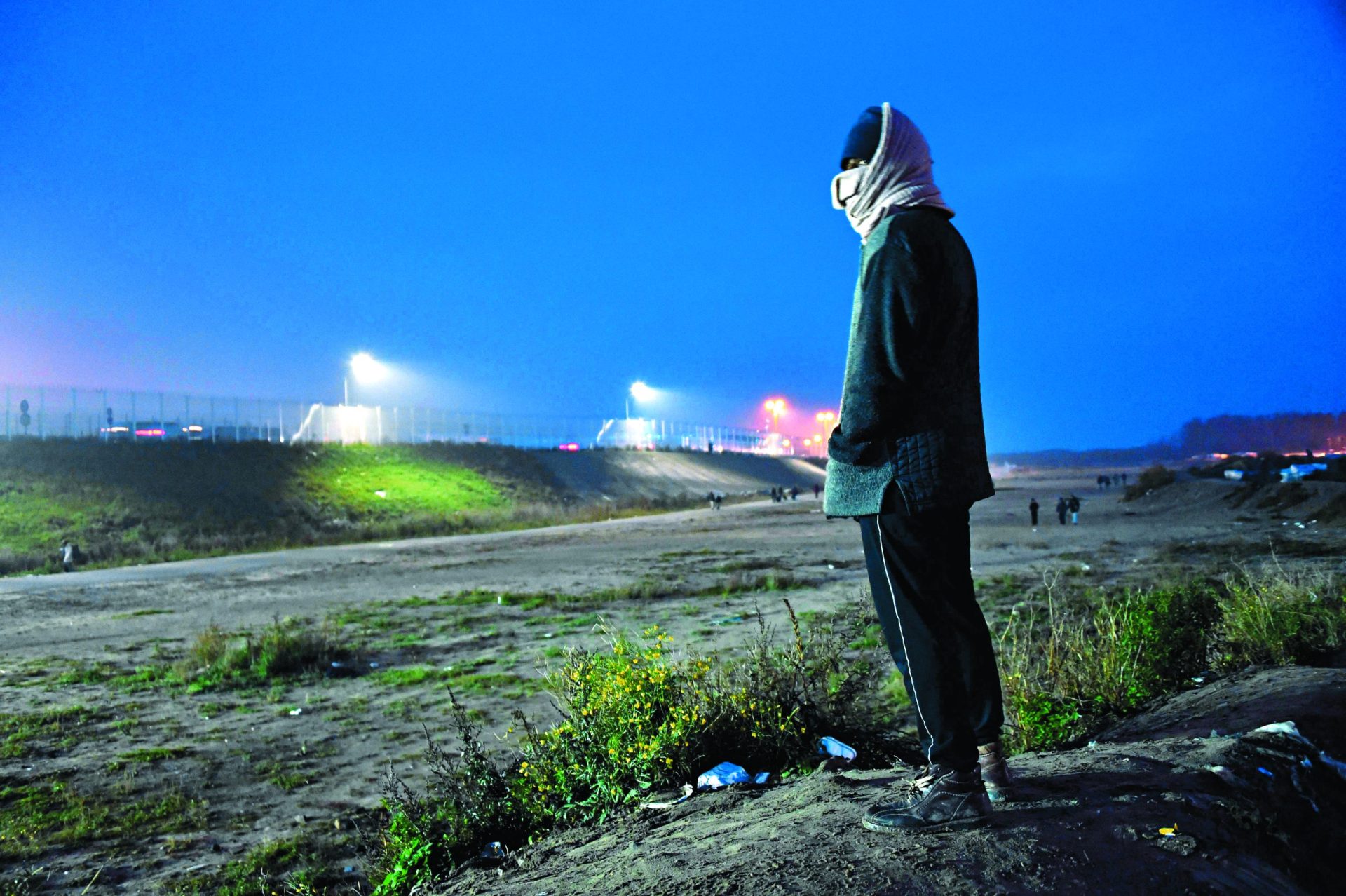 França. Calais desflorestada