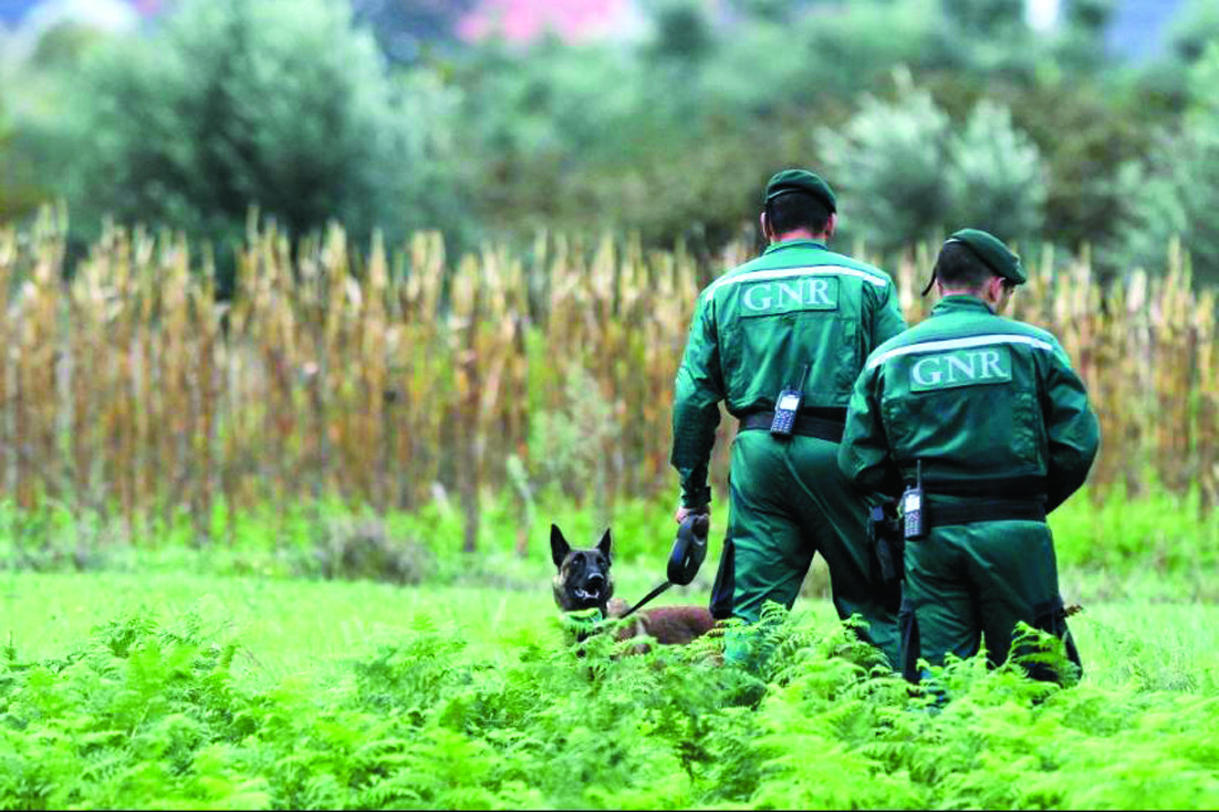 Ourém. Chucha e peluche reforçam tese de rapto