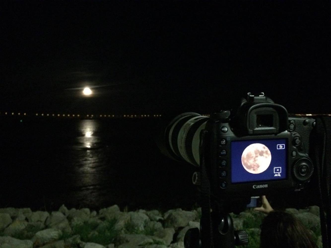 Superlua leva dezenas de curiosos ao Parque das Nações