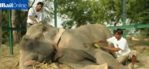 Raju foi maltratado durante 50 anos. Quando foi libertado, começou a chorar