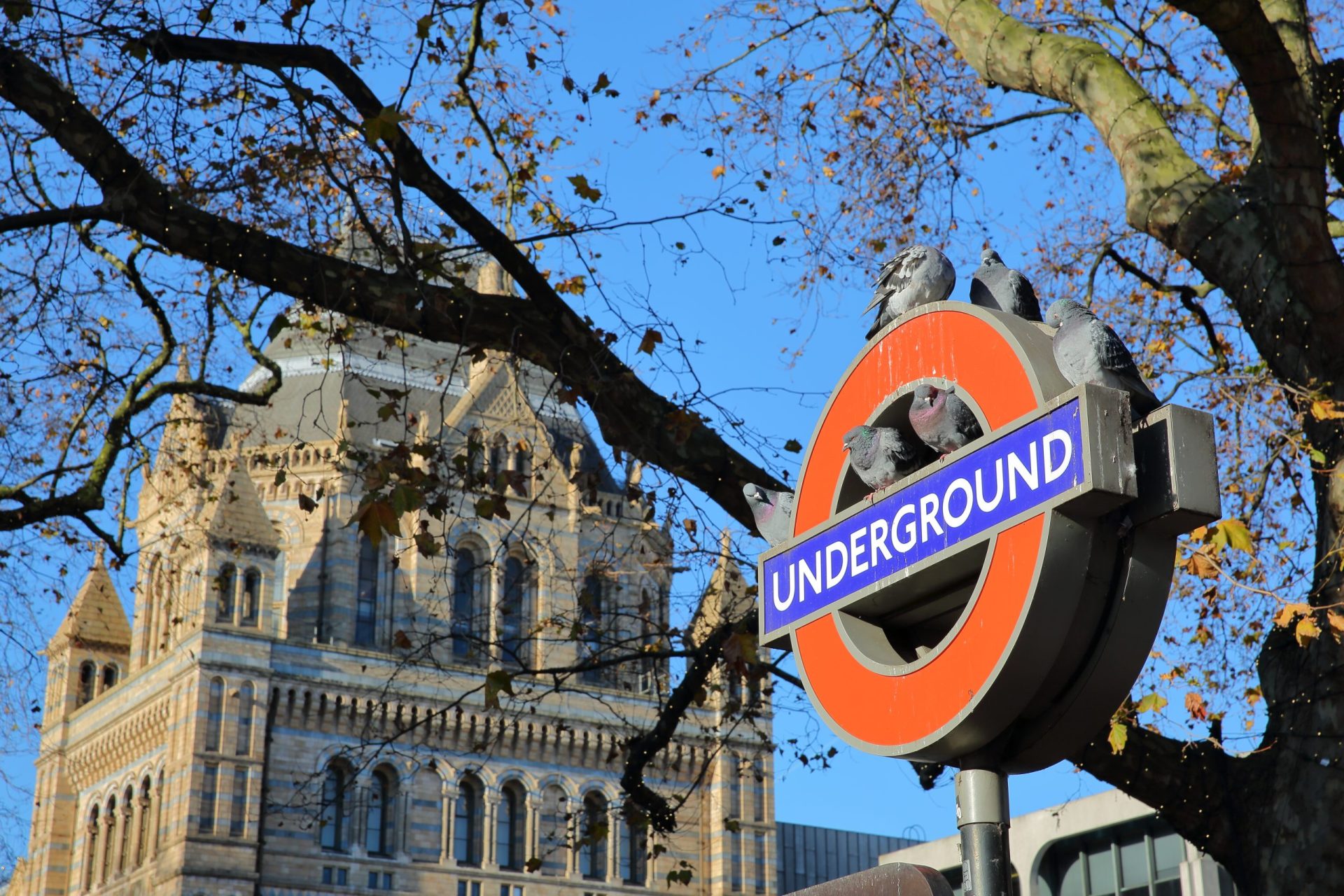 Londres. Linha de metro encerrada por haver homem armado