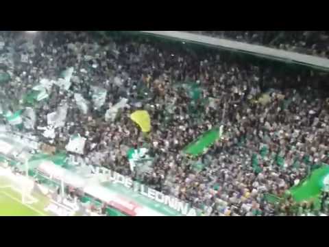 Adeptos Sportinguistas cantaram em homenagem ao Chapecoense [vídeo]