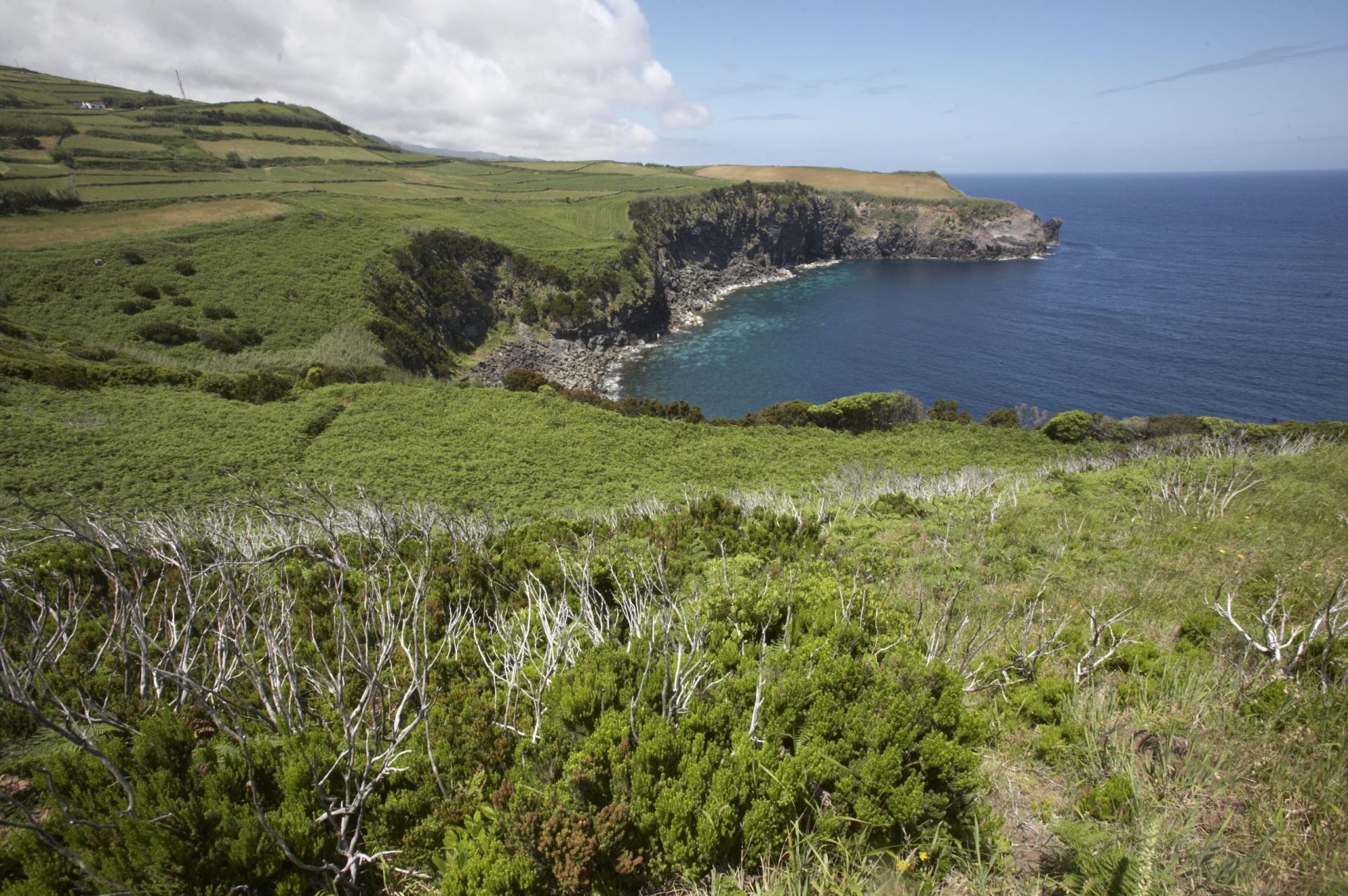 Sismo de magnitude 2,0 sentido na ilha Terceira