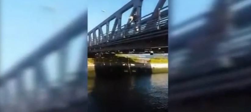 Vídeo de jovem a atirar cão de uma ponte causa indignação nas redes sociais