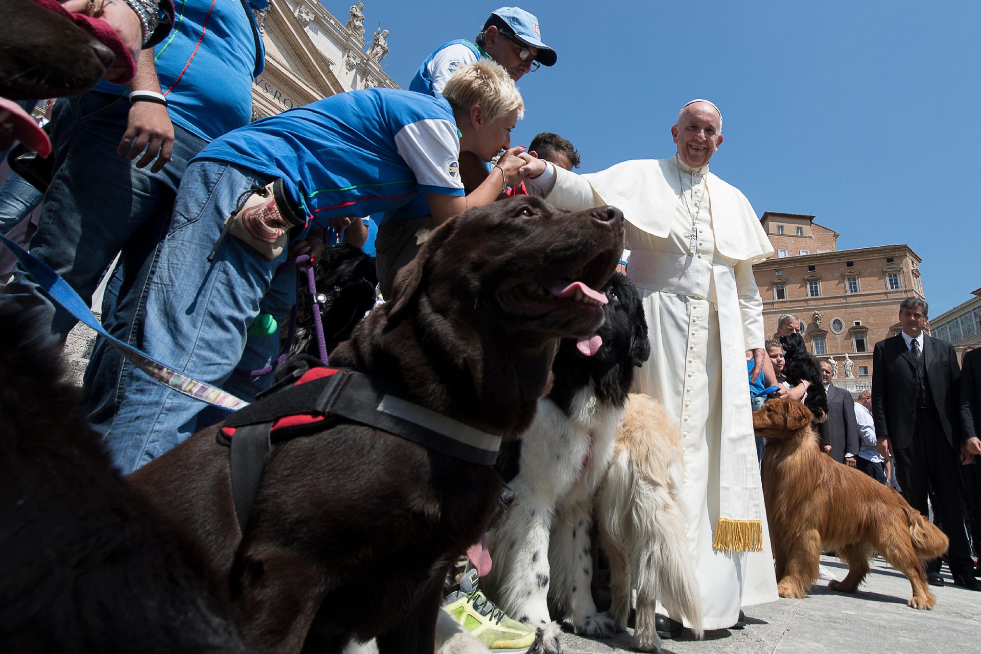 Cães de resgate visitam o Vaticano