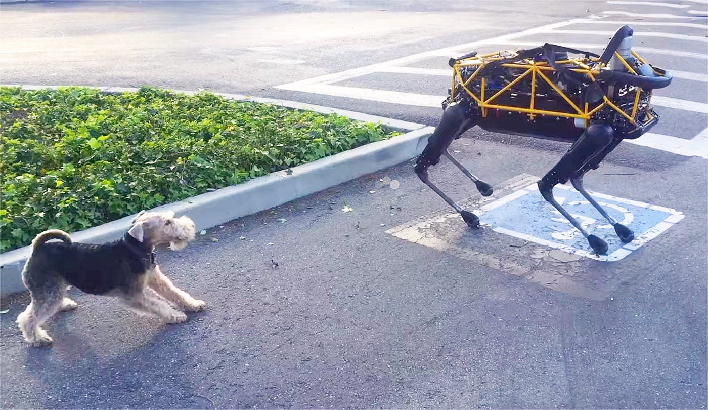 Cão robot da Google encontra-se pela primeira vez com um cão verdadeiro