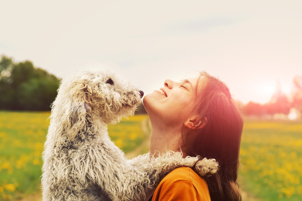 Os cães percebem o que dizemos (e como dizemos)